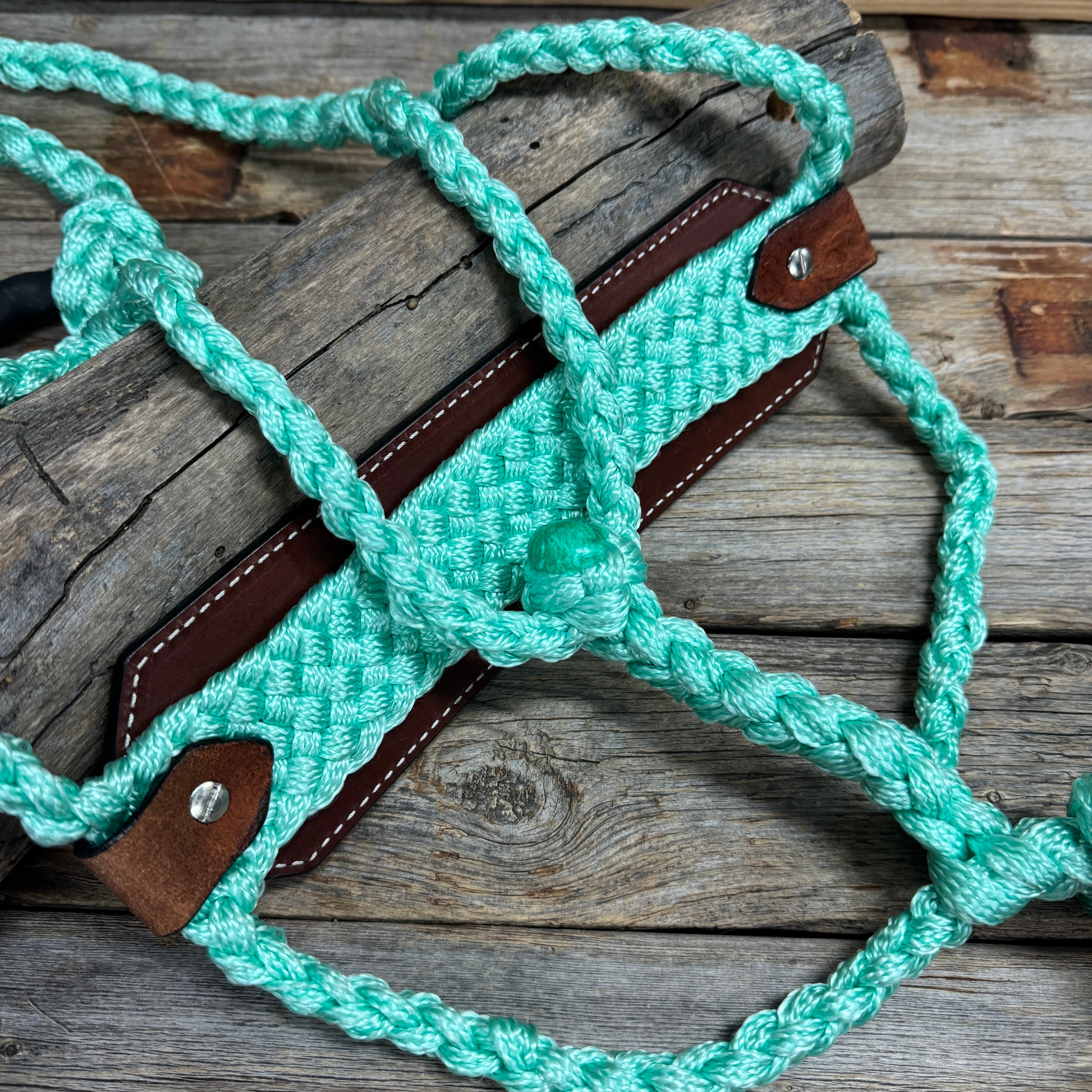 Bronc Noseband Mule Tape Halter with Western Turquoise Conchos #MT303