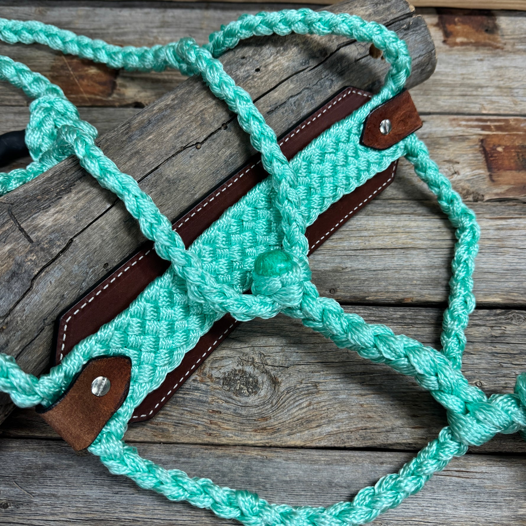Bronc Noseband Mule Tape Halter with Western Turquoise Conchos #MT303