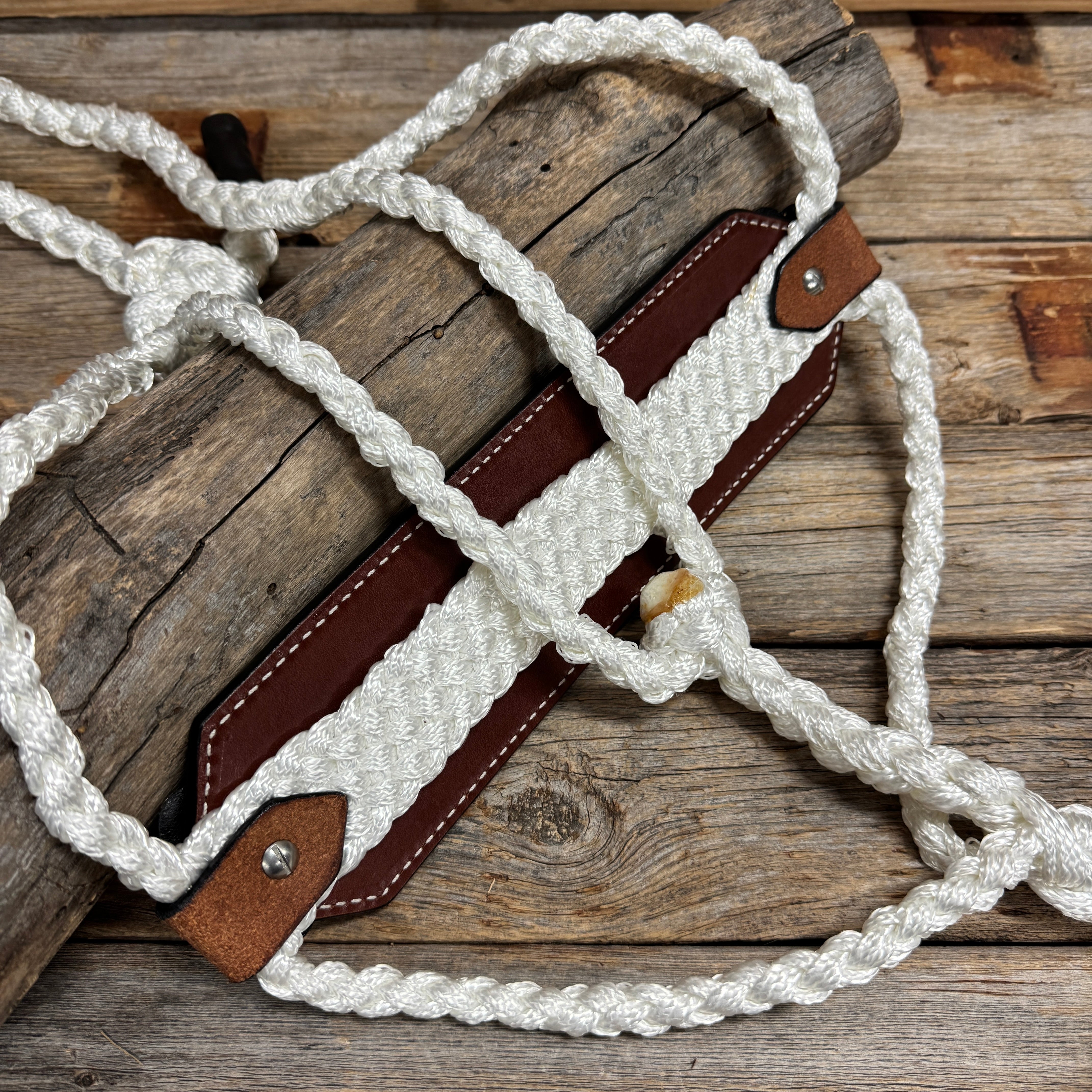 Bronc Noseband Mule Tape Halter with Bright Silver Clear Conchos #MT304