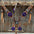 Light Oil Whipstitch Purple Gardenia Browband/One Ear Tack Set #BBBC492