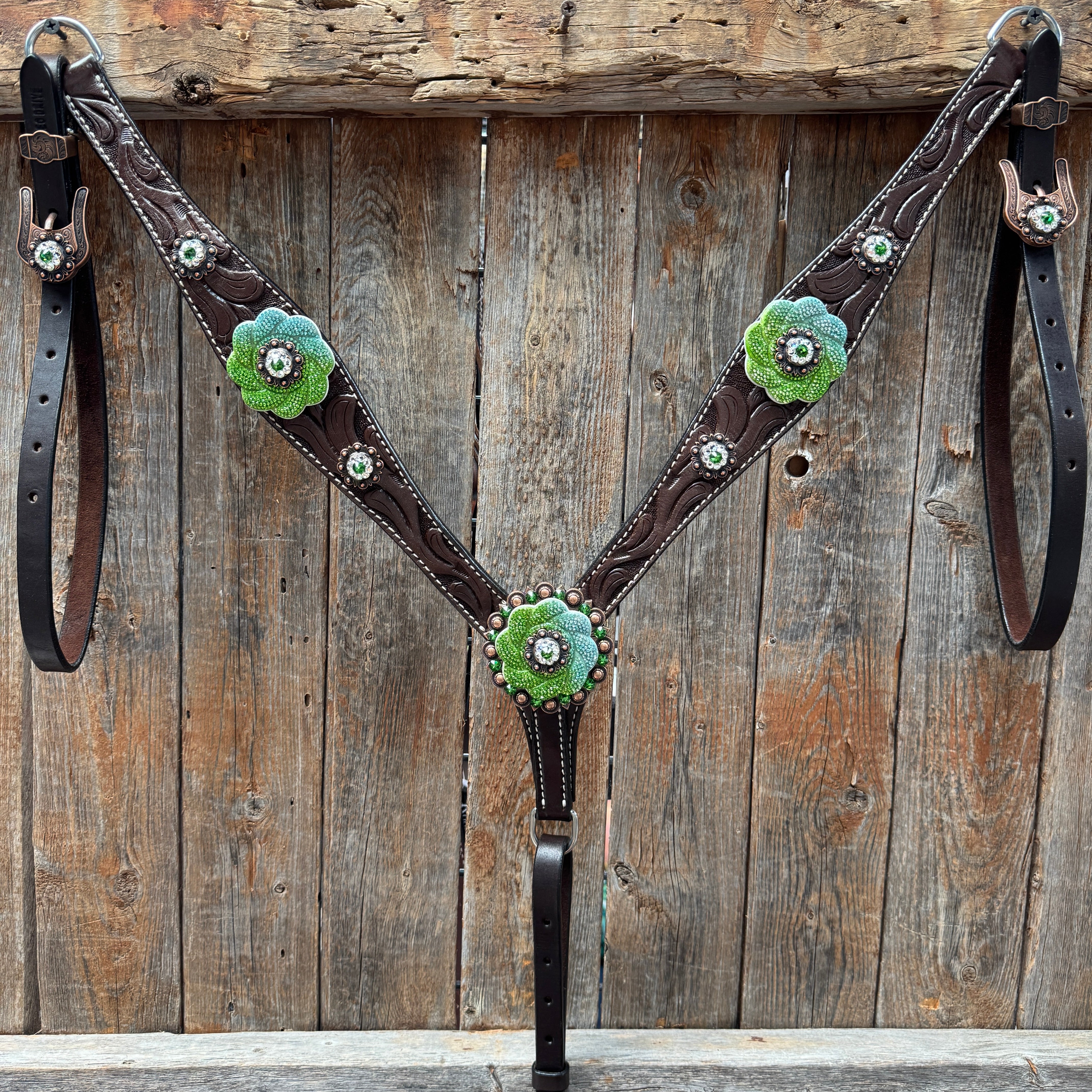 Dark Oil Floral Tooled Fern and Clear Browband & Breastcollar Tack Set #BBBC652