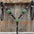 Dark Oil Floral Tooled Fern and Clear Browband & Breastcollar Tack Set #BBBC652