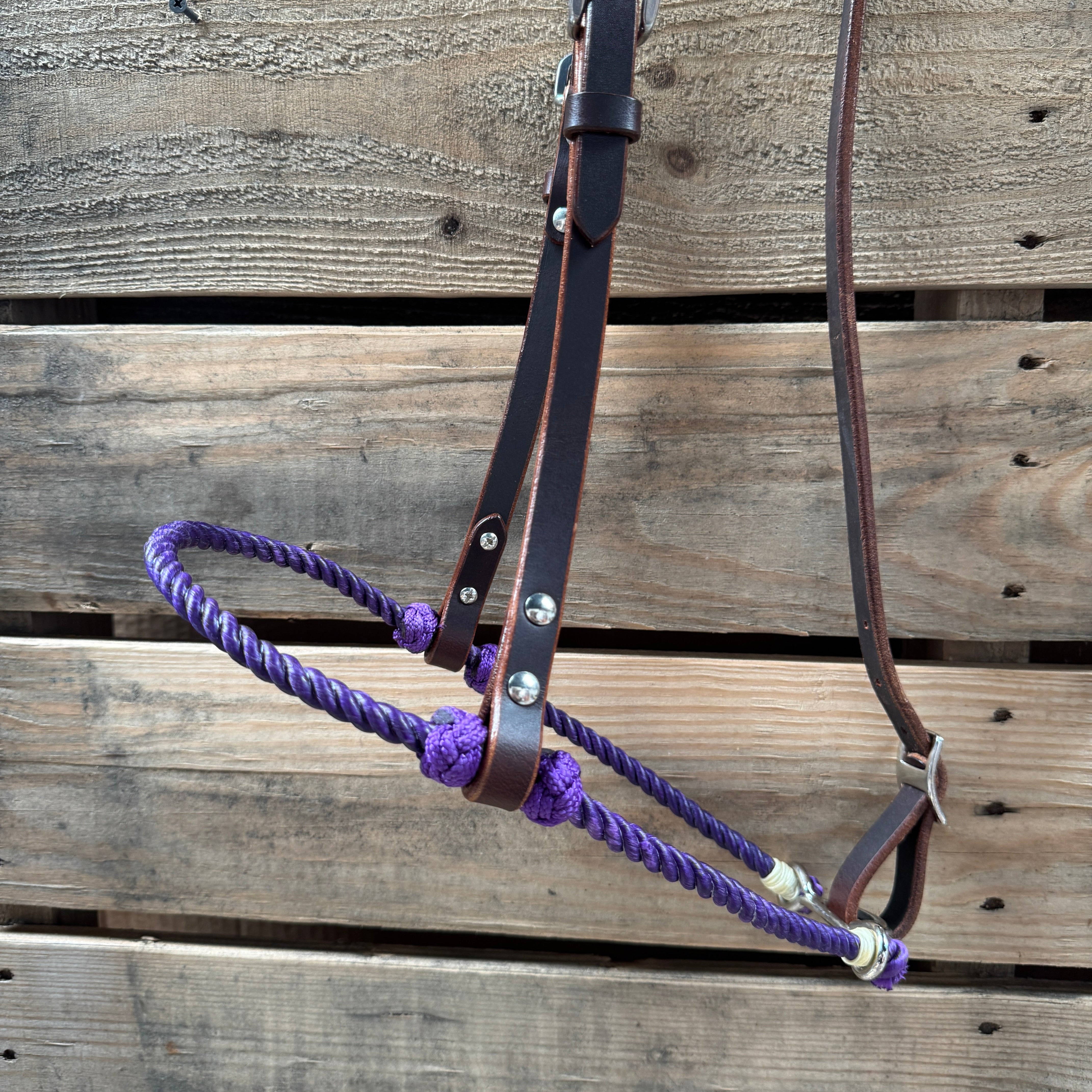 Purple Single Rope Noseband Lariat with Leather Hanger #HAN104