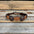 Genuine Leather Dog Collar With Copper Star Concho 12" to 22" W175L | DC4