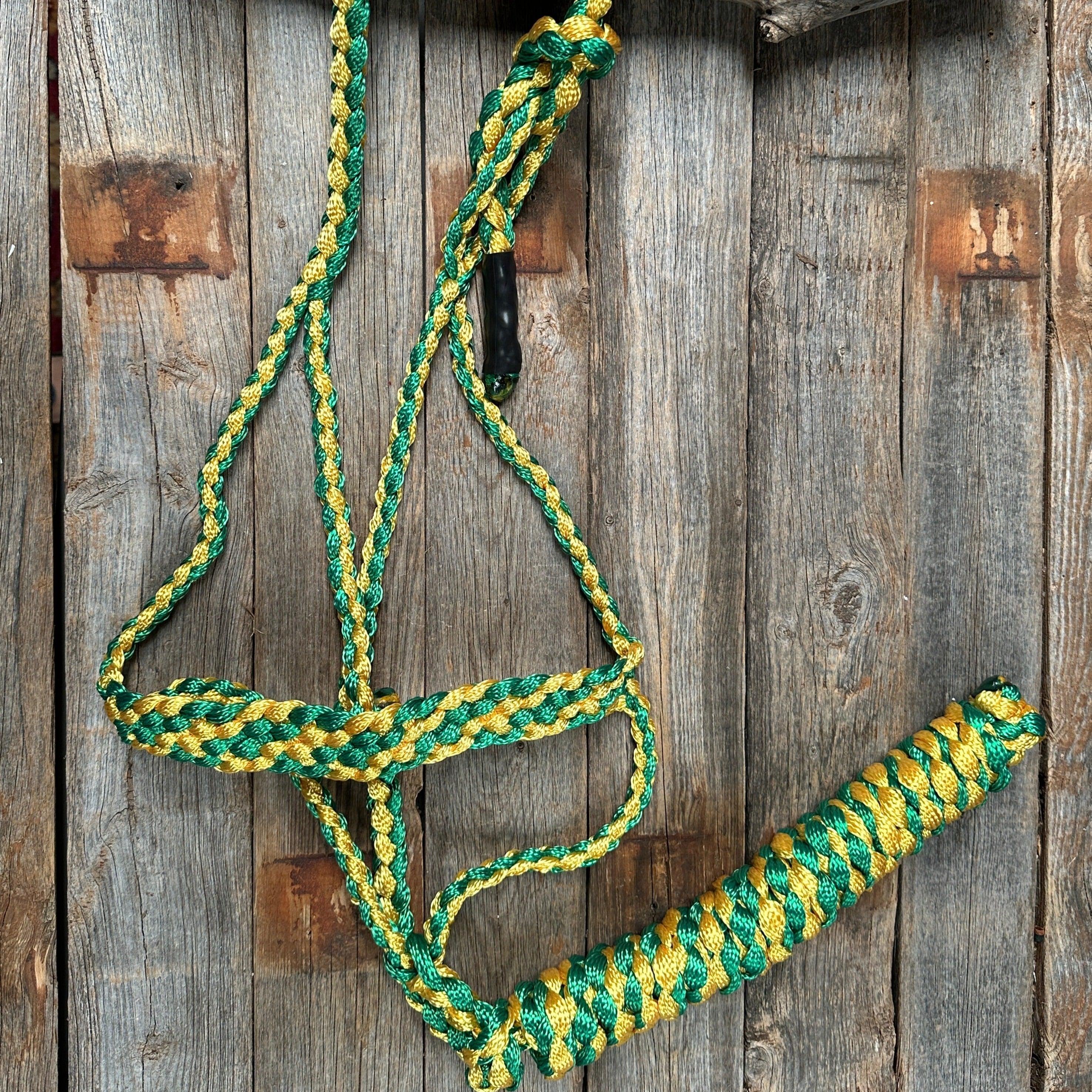 Mule Tape Halters - Two Tone Assorted Colors- - RODEO DRIVE