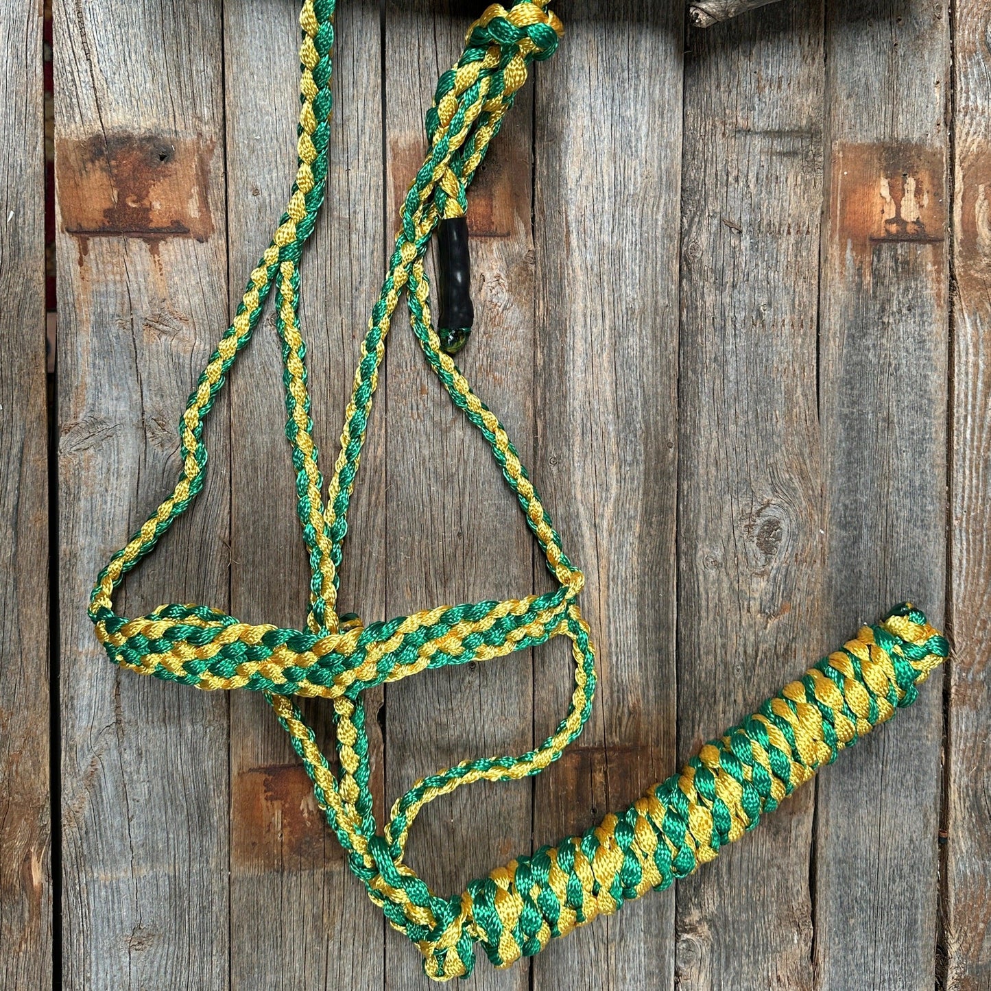 Green and Gold Mule Tape Halter - RODEO DRIVE