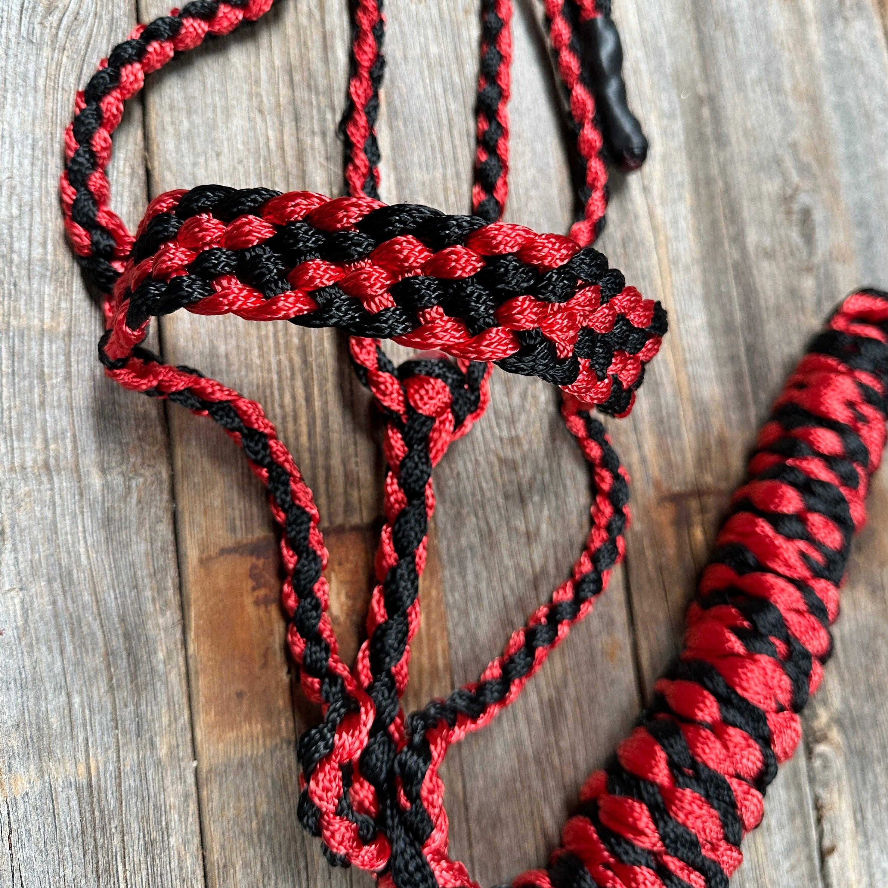 Red and Black Mule Tape Halter - RODEO DRIVE