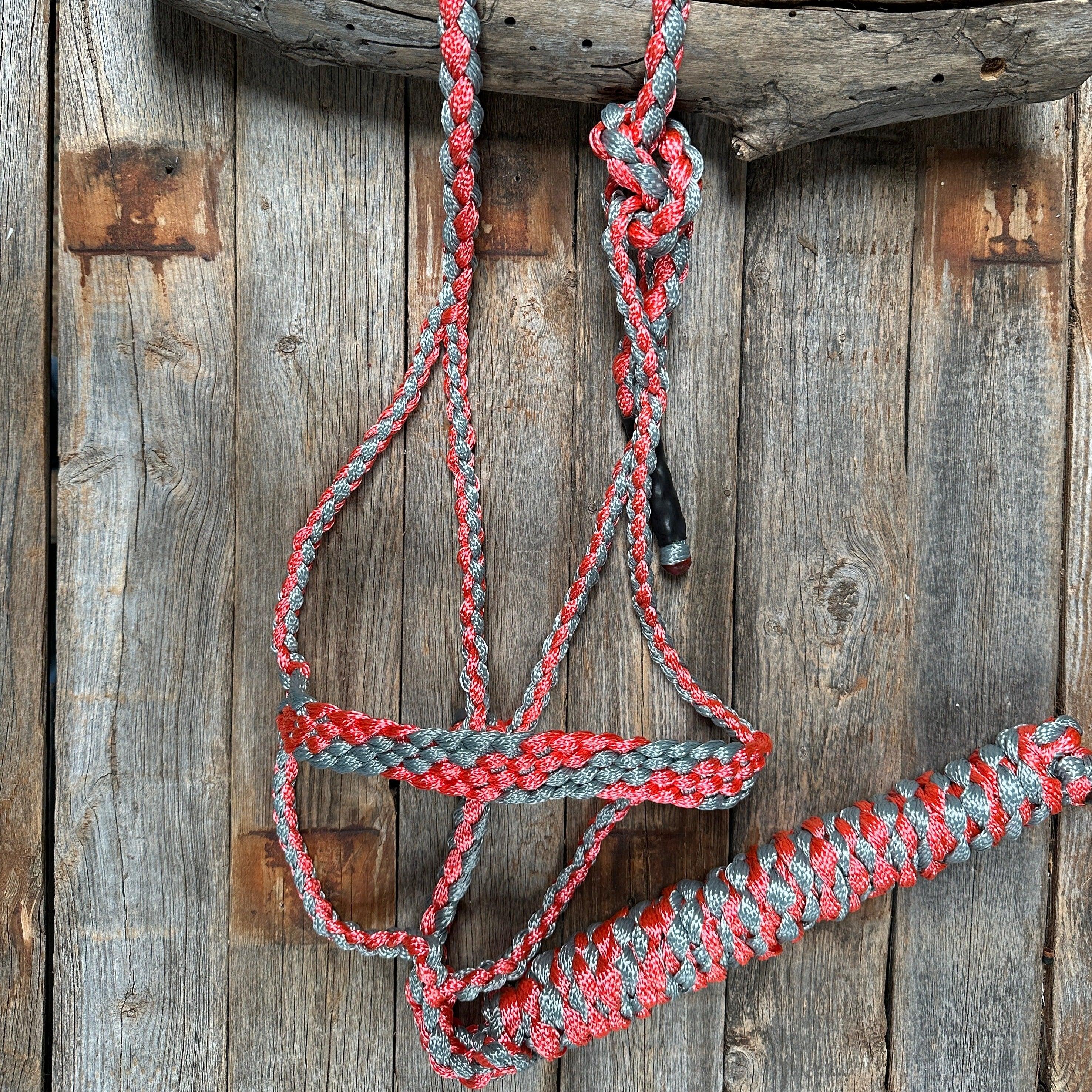 Mule Tape Halters - Two Tone Assorted Colors- - RODEO DRIVE