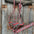 Mule Tape Halters - Two Tone Assorted Colors- - RODEO DRIVE