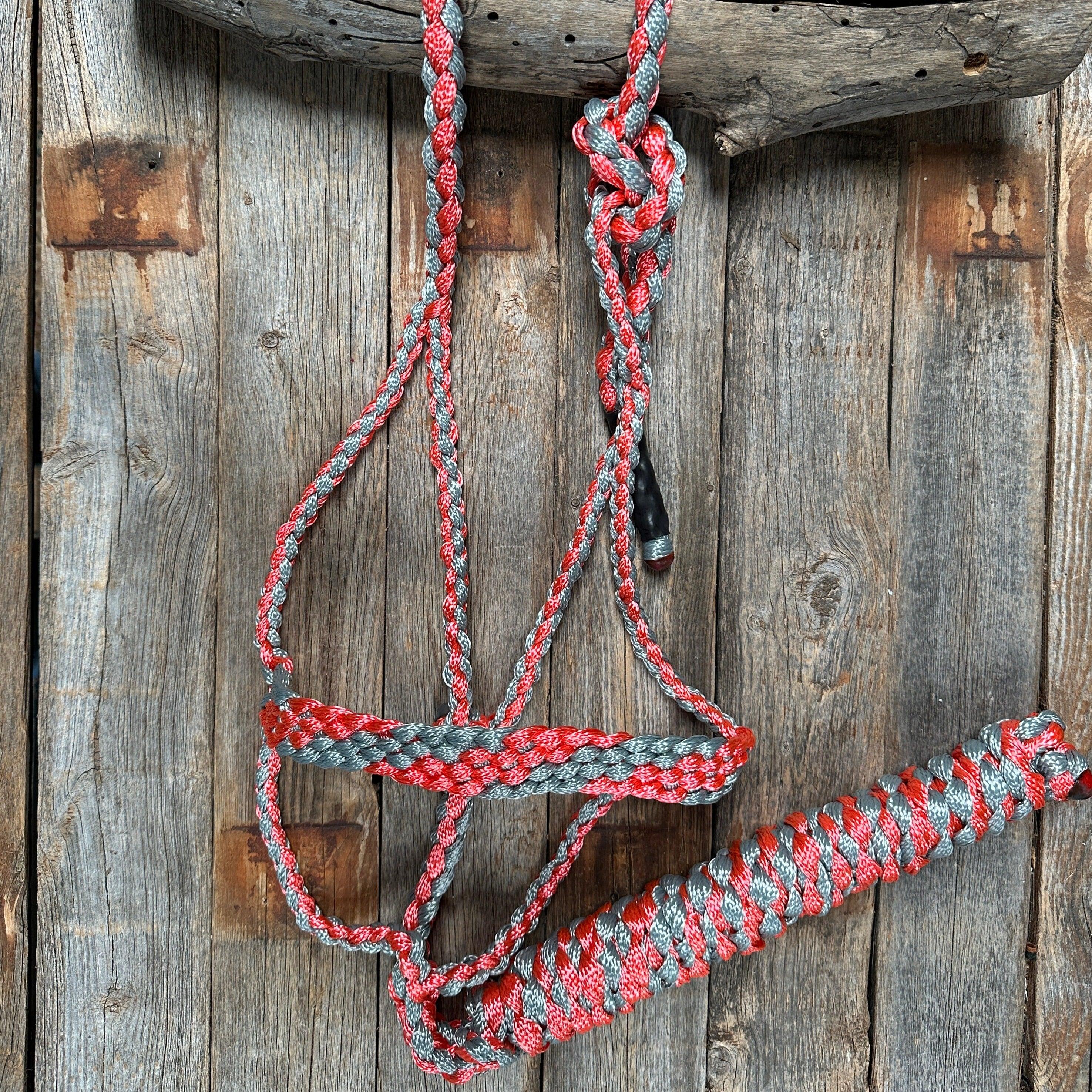 Coral and Grey Mule Tape Halter - RODEO DRIVE