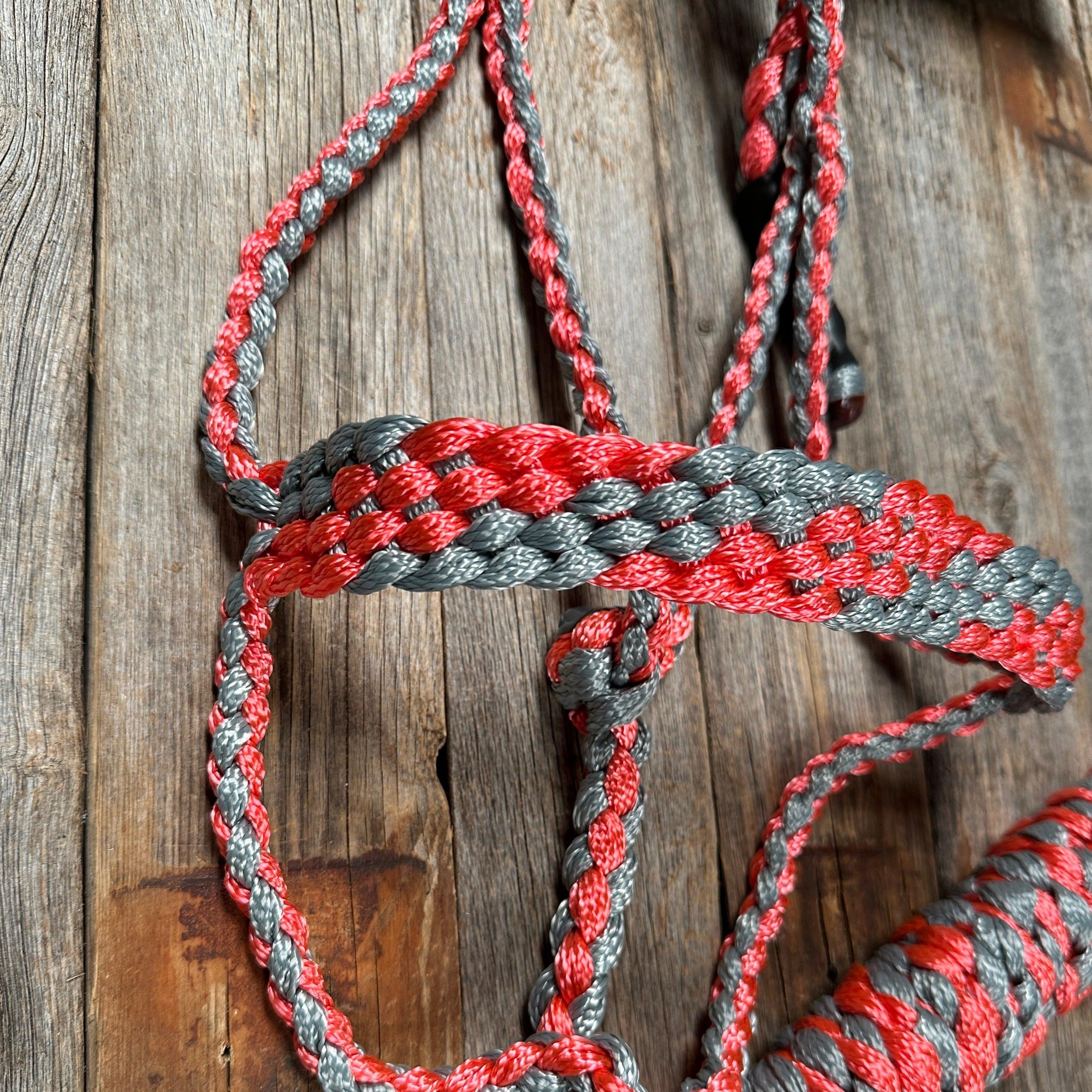 Coral and Grey Mule Tape Halter - RODEO DRIVE