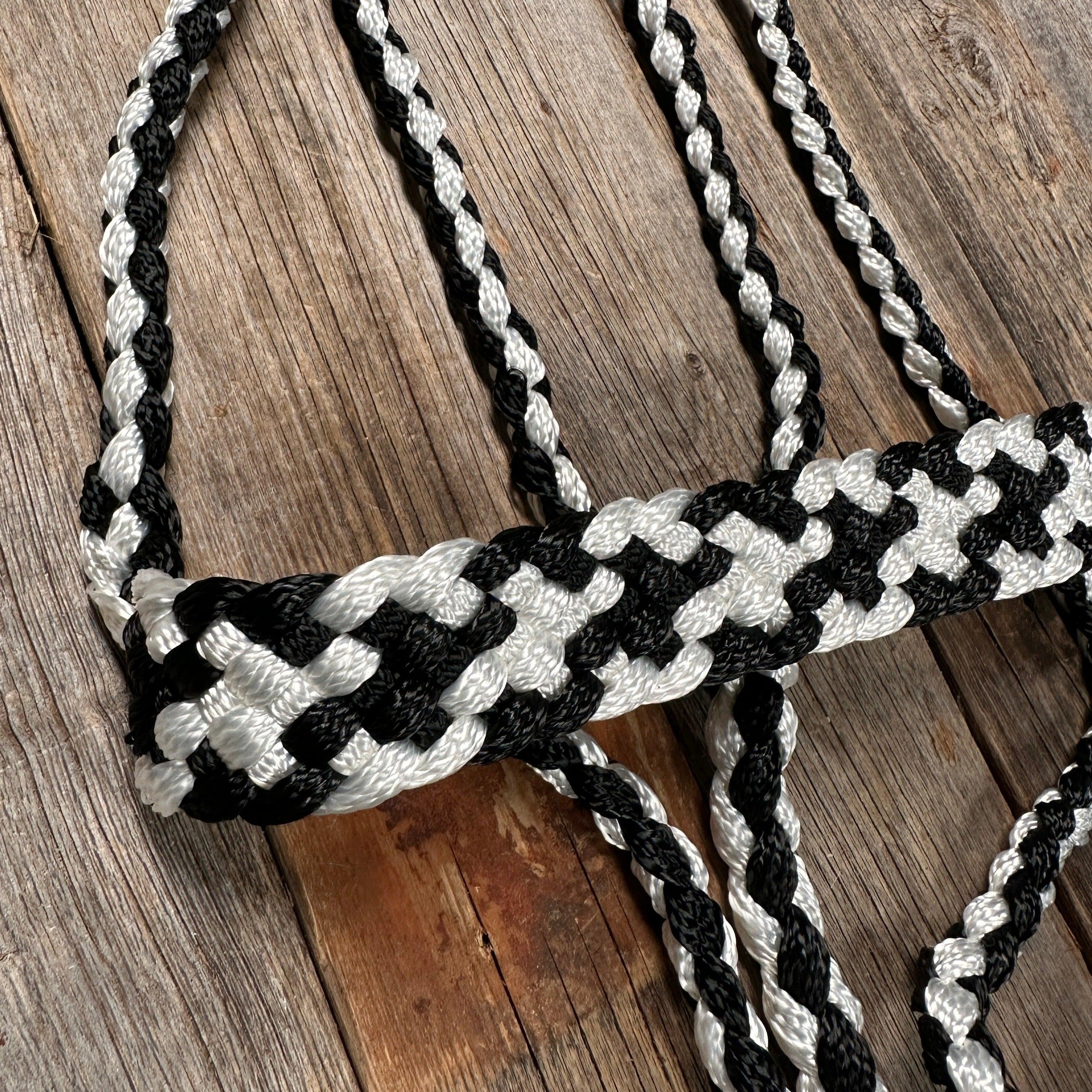 Black and White Mule Tape Halter - RODEO DRIVE