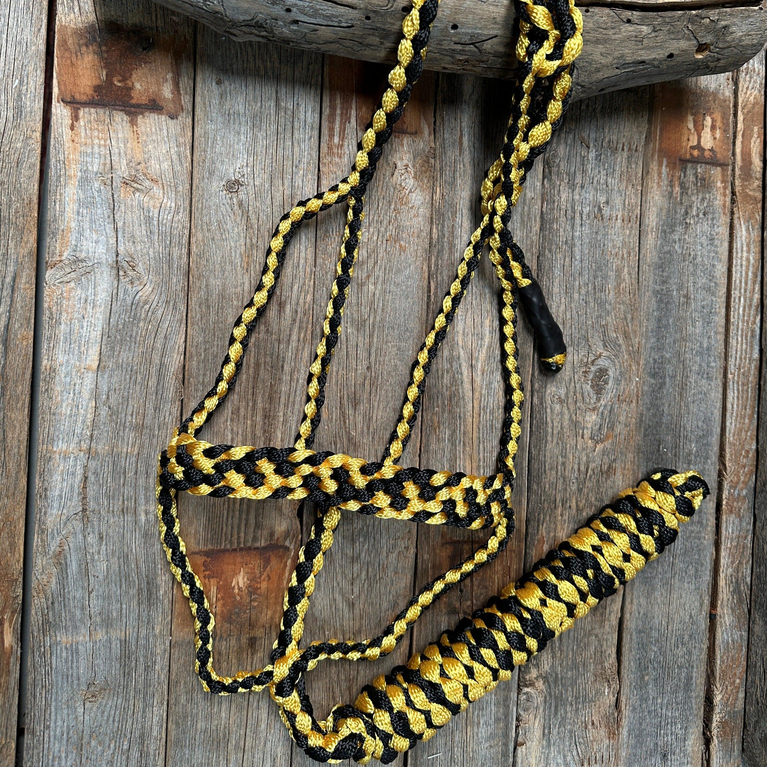 Mule Tape Halters - Two Tone Assorted Colors- - RODEO DRIVE