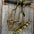 Mule Tape Halters - Two Tone Assorted Colors- - RODEO DRIVE