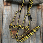 Gold and Black Mule Tape Halter - RODEO DRIVE