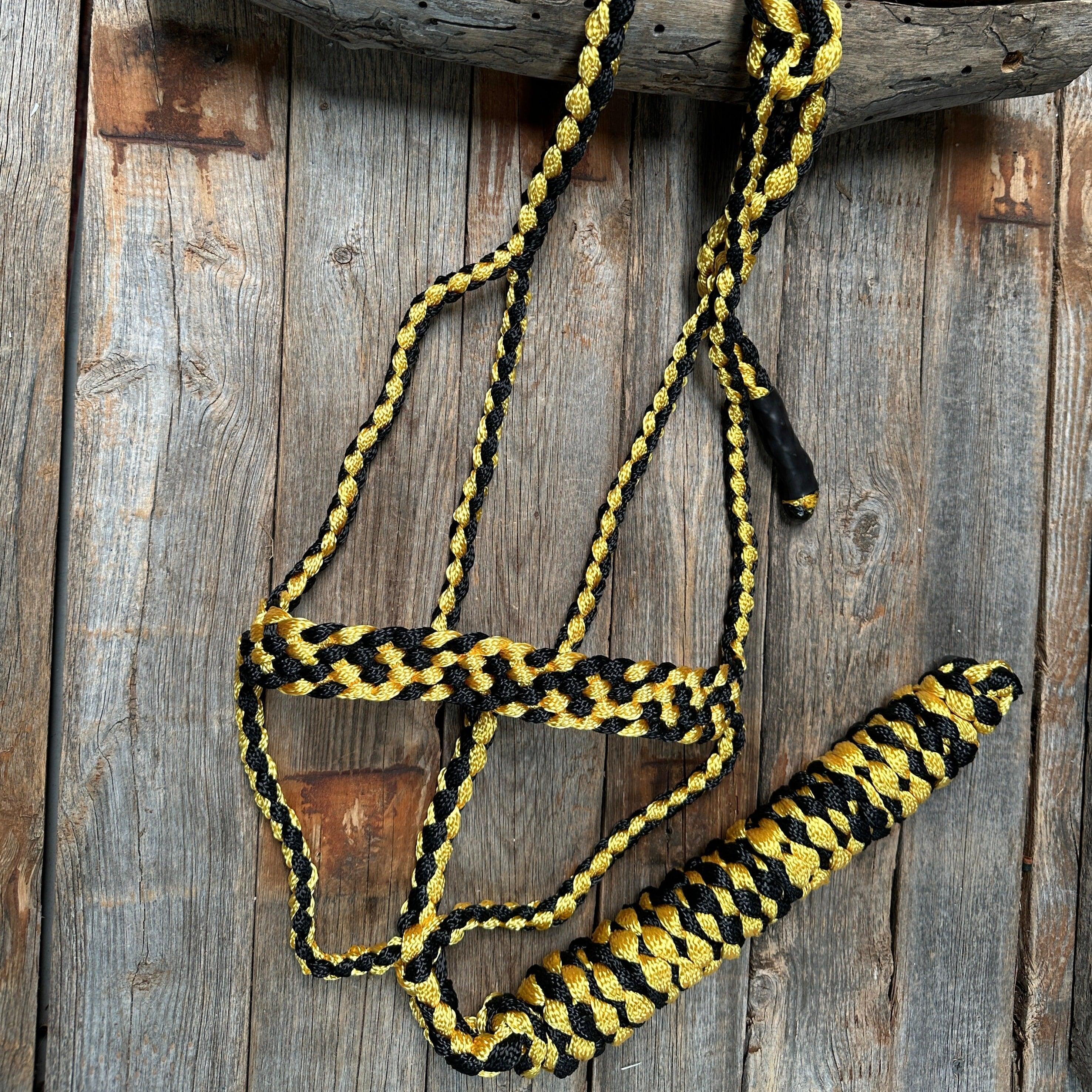 Gold and Black Mule Tape Halter - RODEO DRIVE