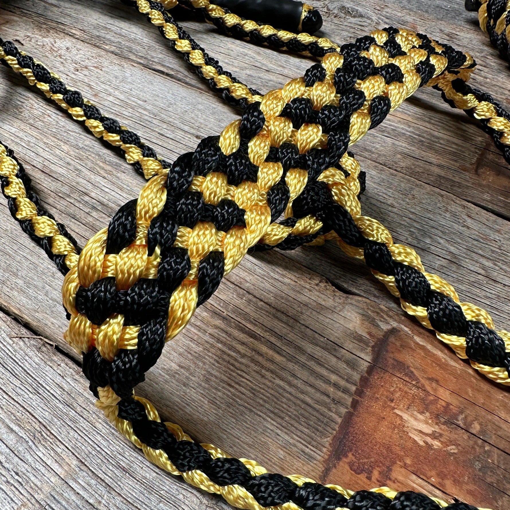 Gold and Black Mule Tape Halter - RODEO DRIVE