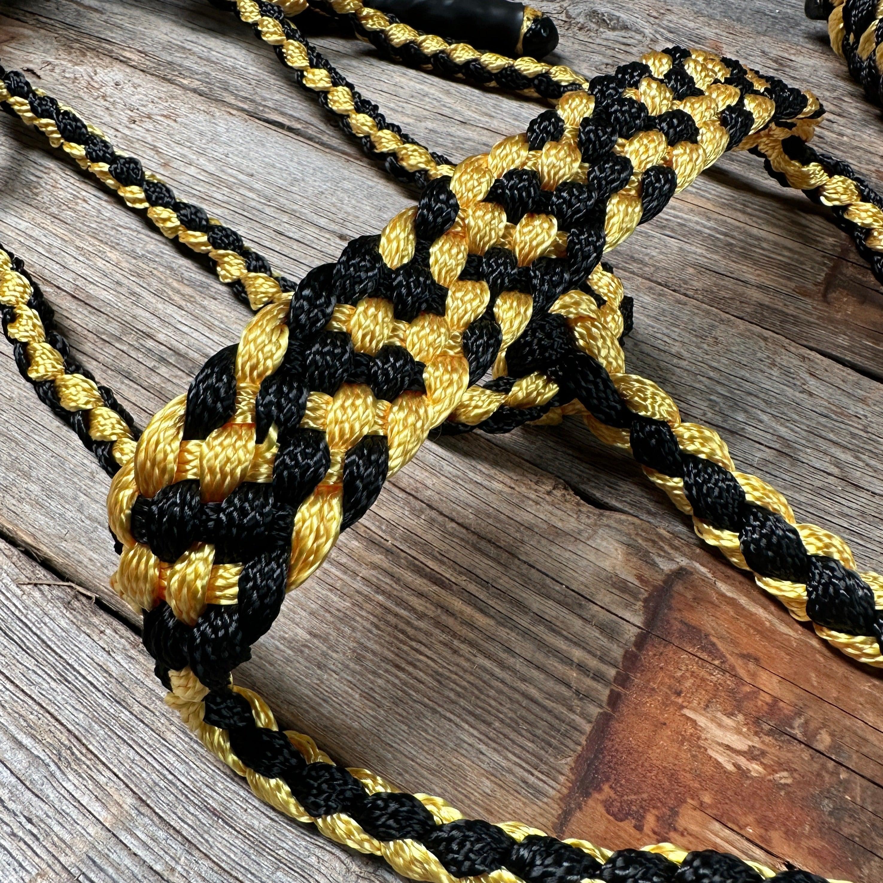 Gold and Black Mule Tape Halter - RODEO DRIVE