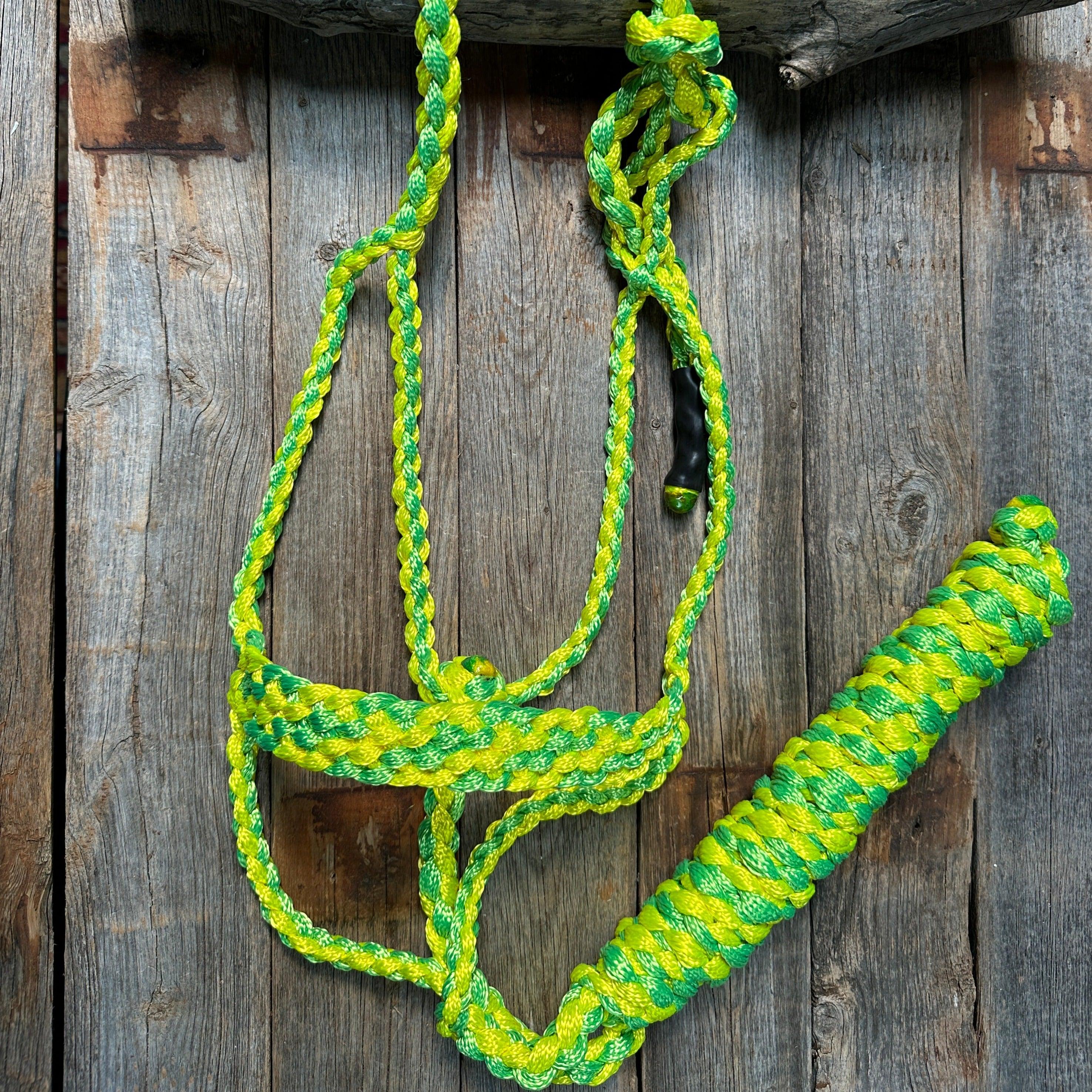 Mule Tape Halters - Two Tone Assorted Colors- - RODEO DRIVE