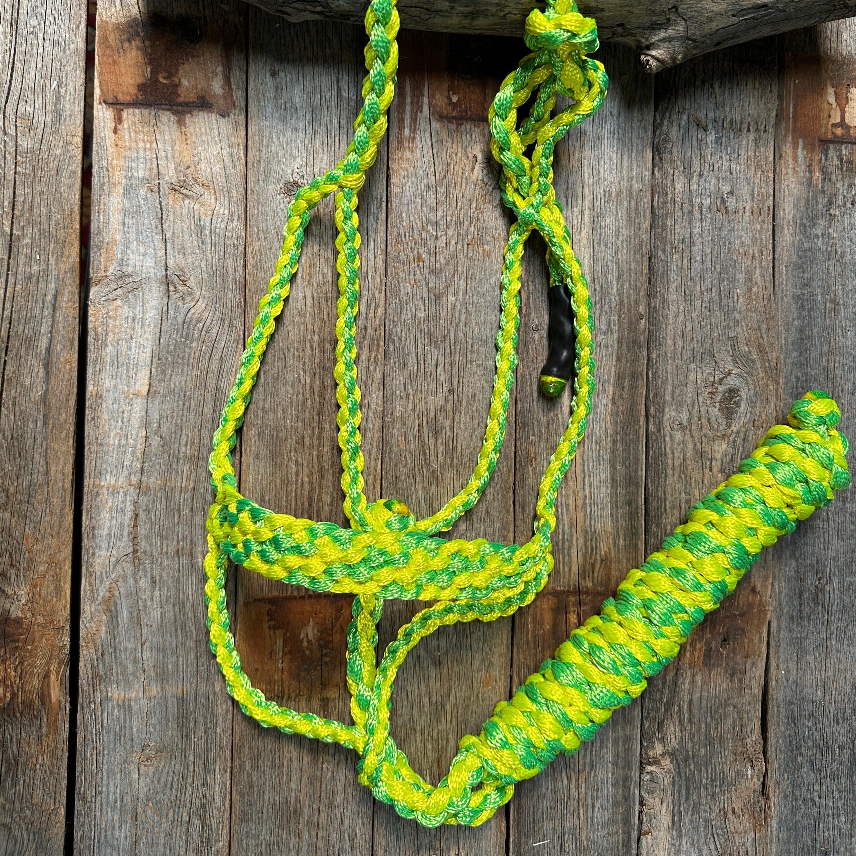 Yellow and Lime Mule Tape Halter - RODEO DRIVE
