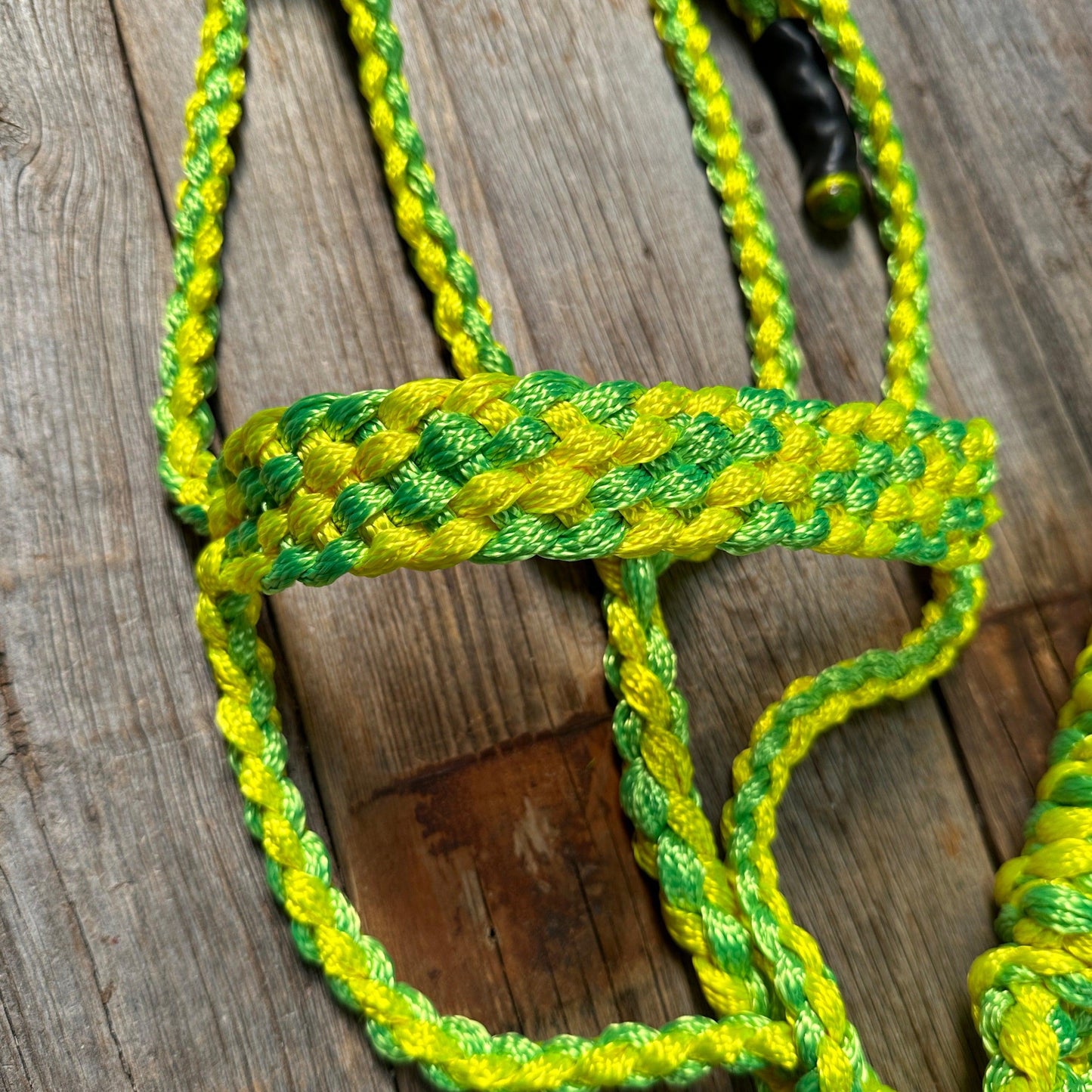 Yellow and Lime Mule Tape Halter - RODEO DRIVE