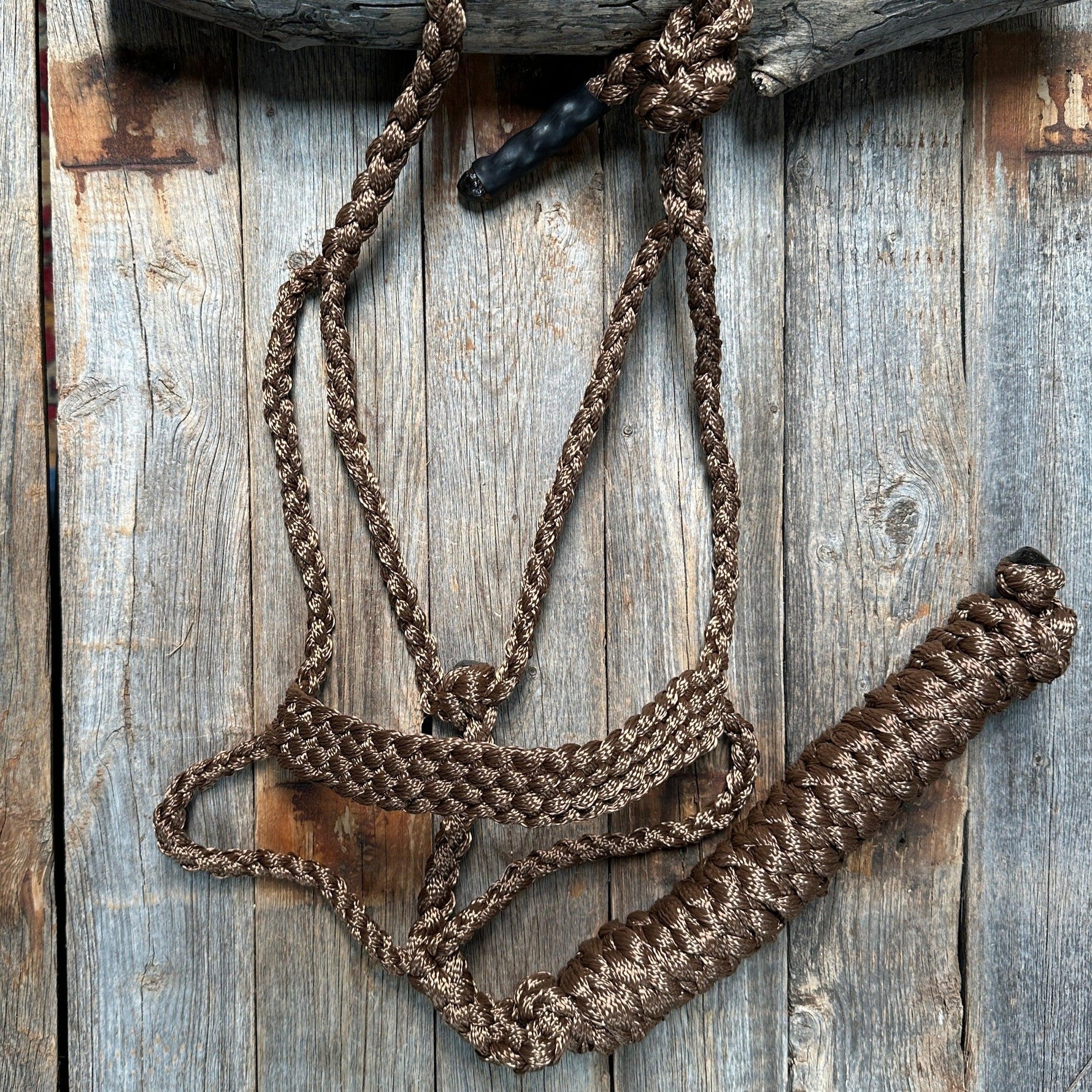 Brown Mule Tape Halter - RODEO DRIVE