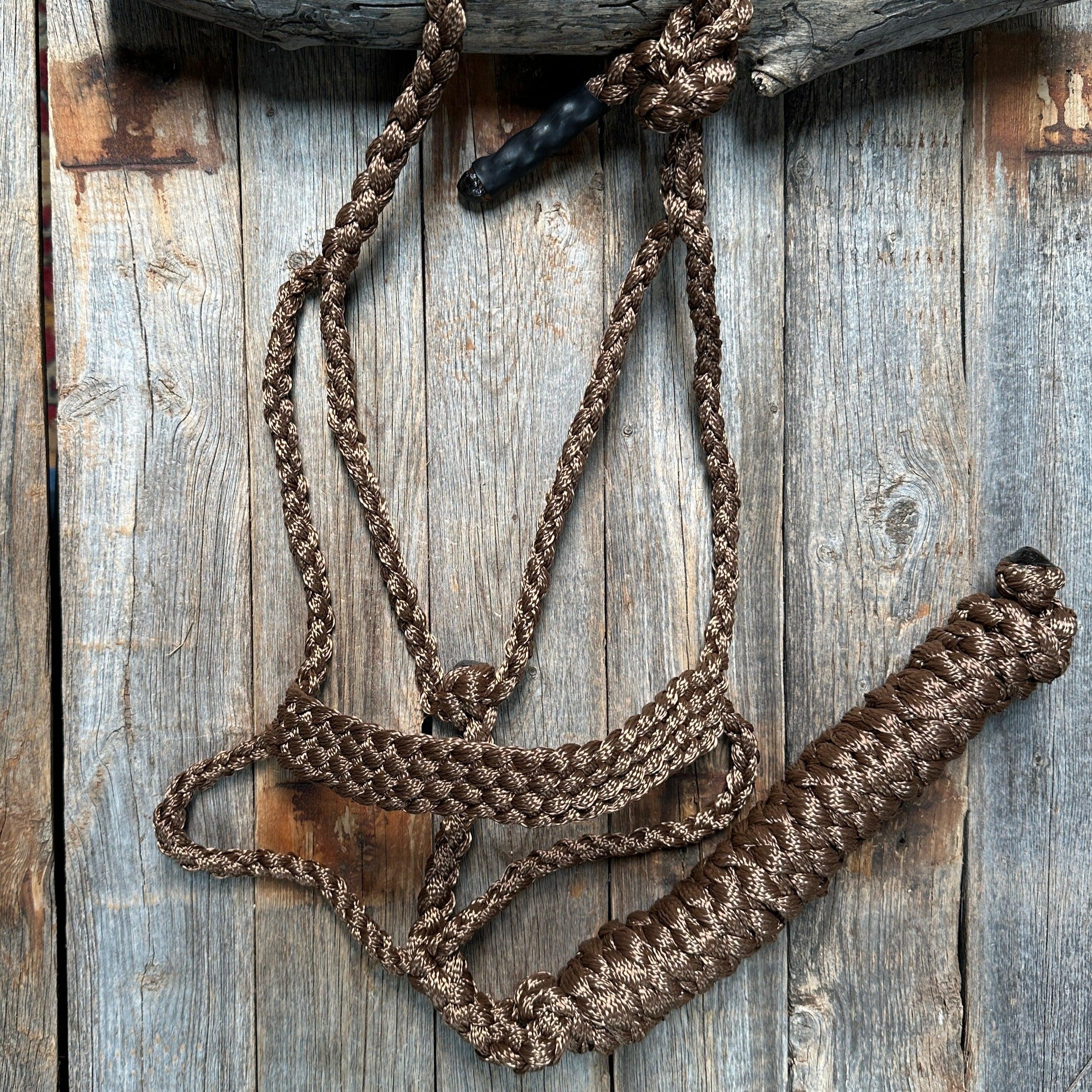 Brown Mule Tape Halter - RODEO DRIVE