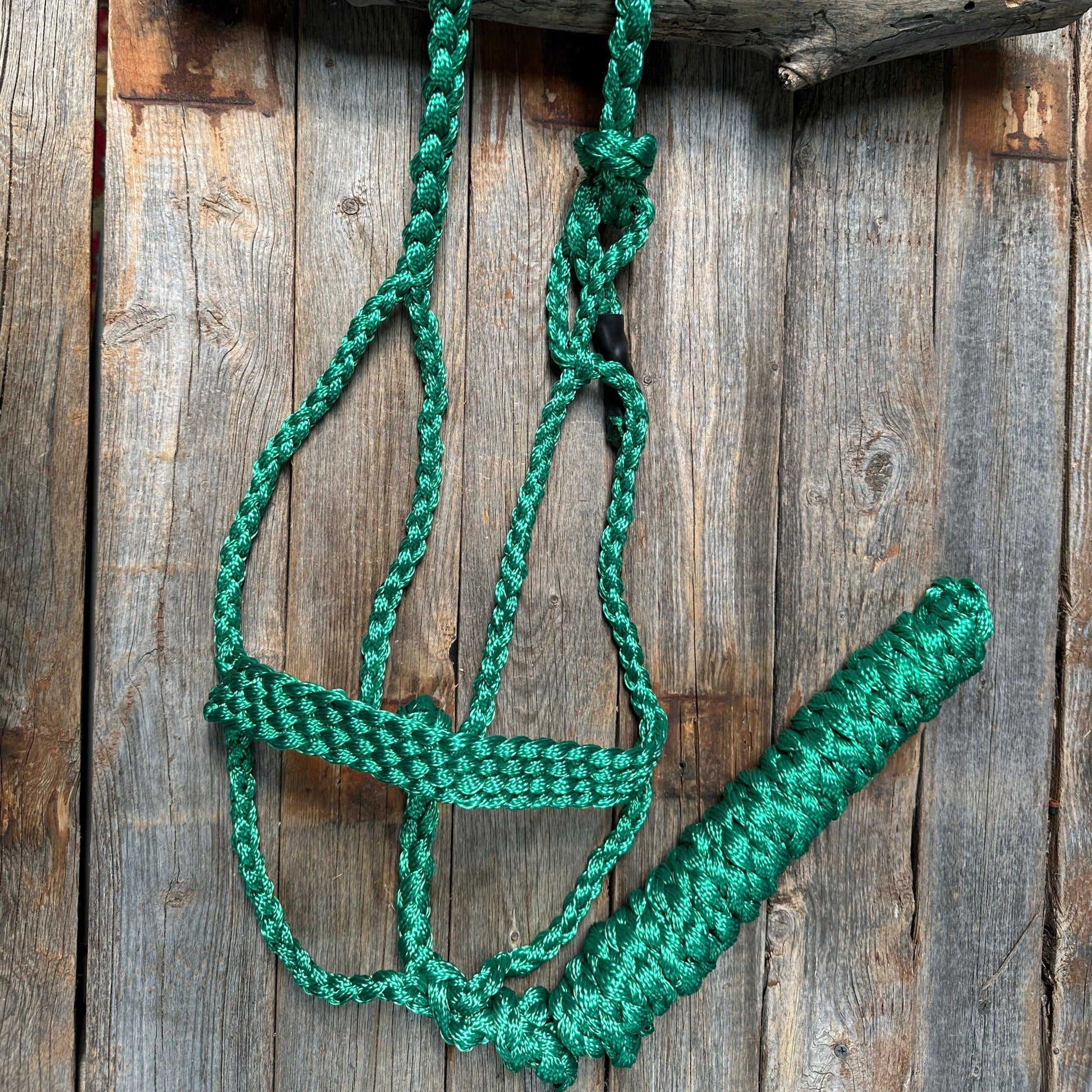 Green Mule Tape Halter - RODEO DRIVE