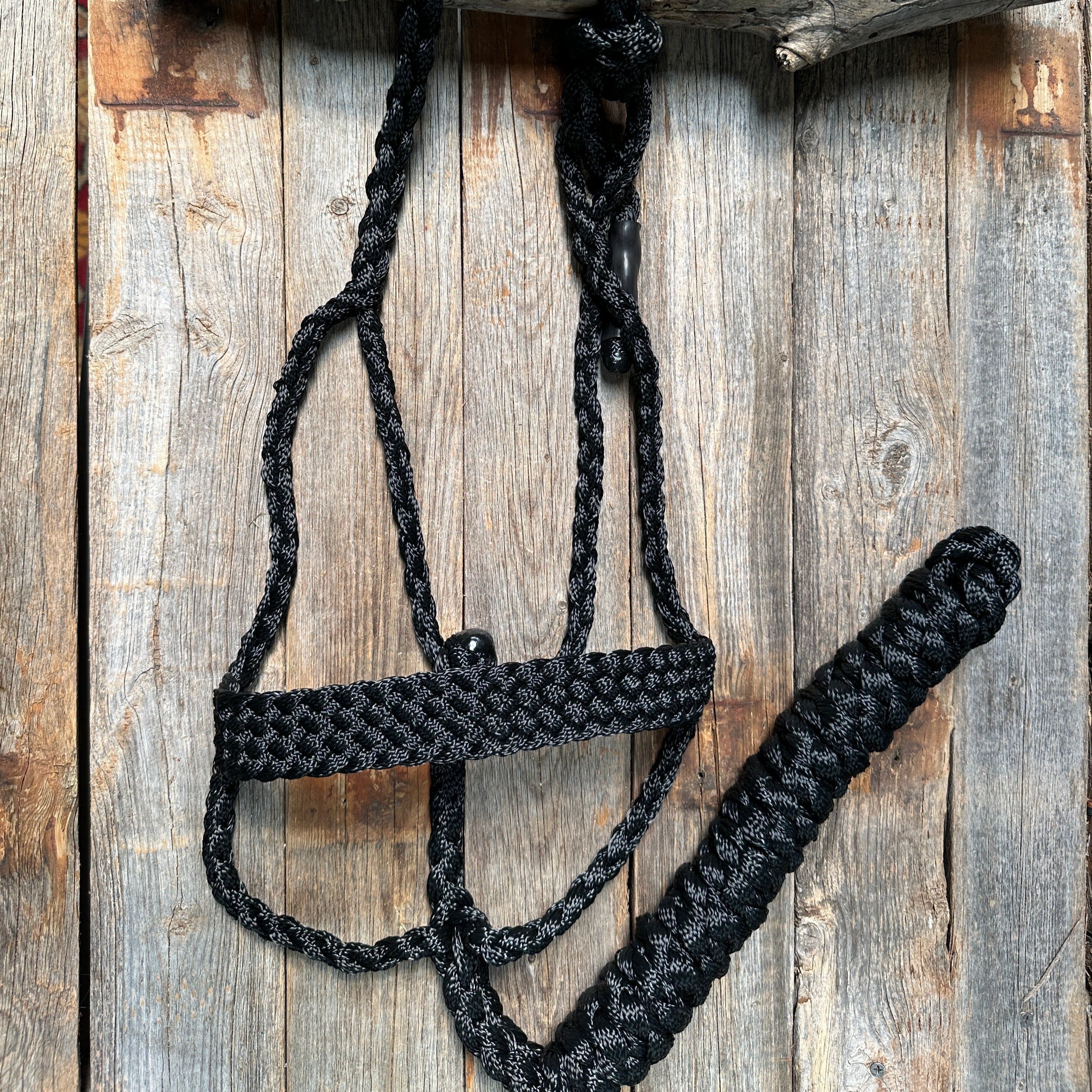 Black Mule Tape Halter - RODEO DRIVE