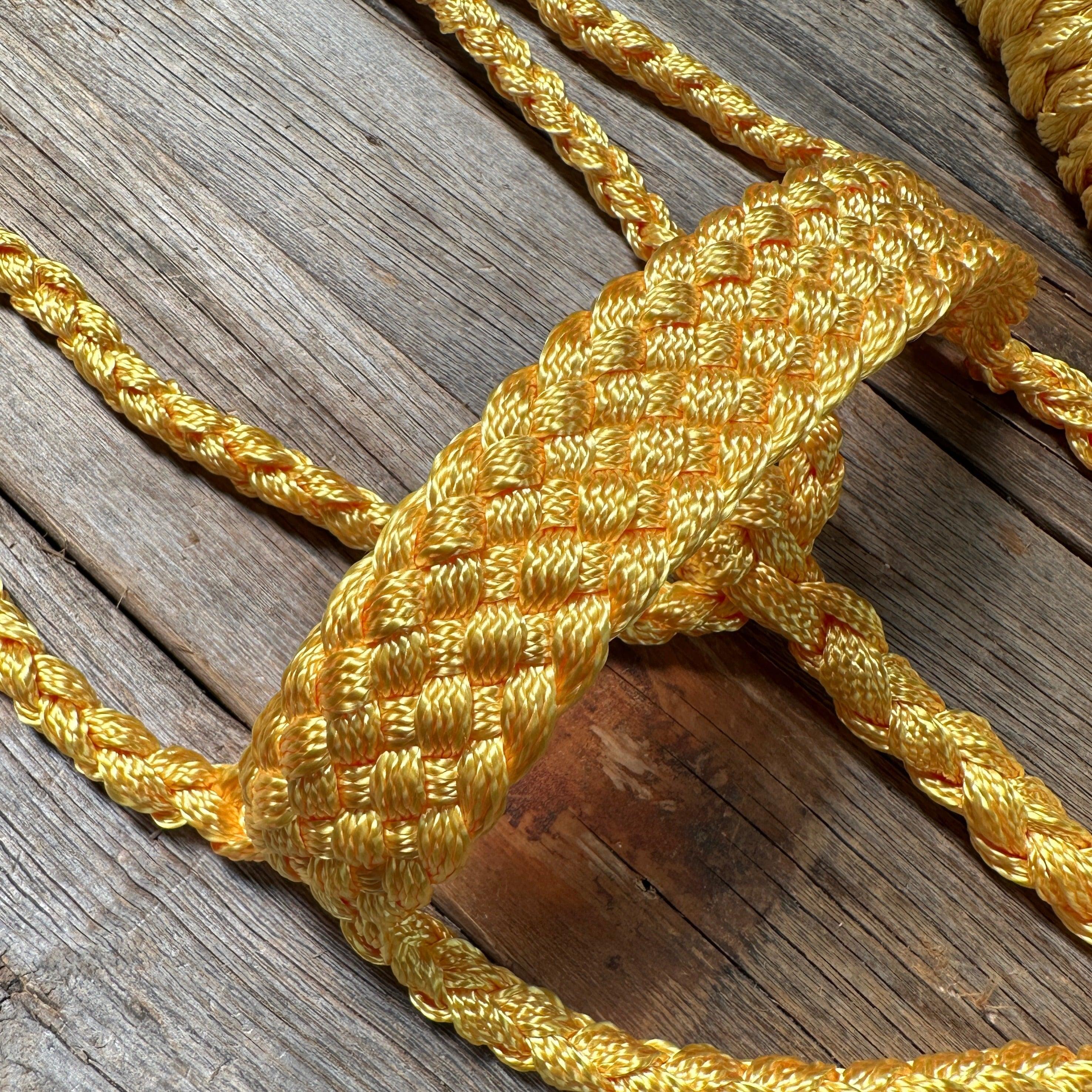 Gold Mule Tape Halter - RODEO DRIVE