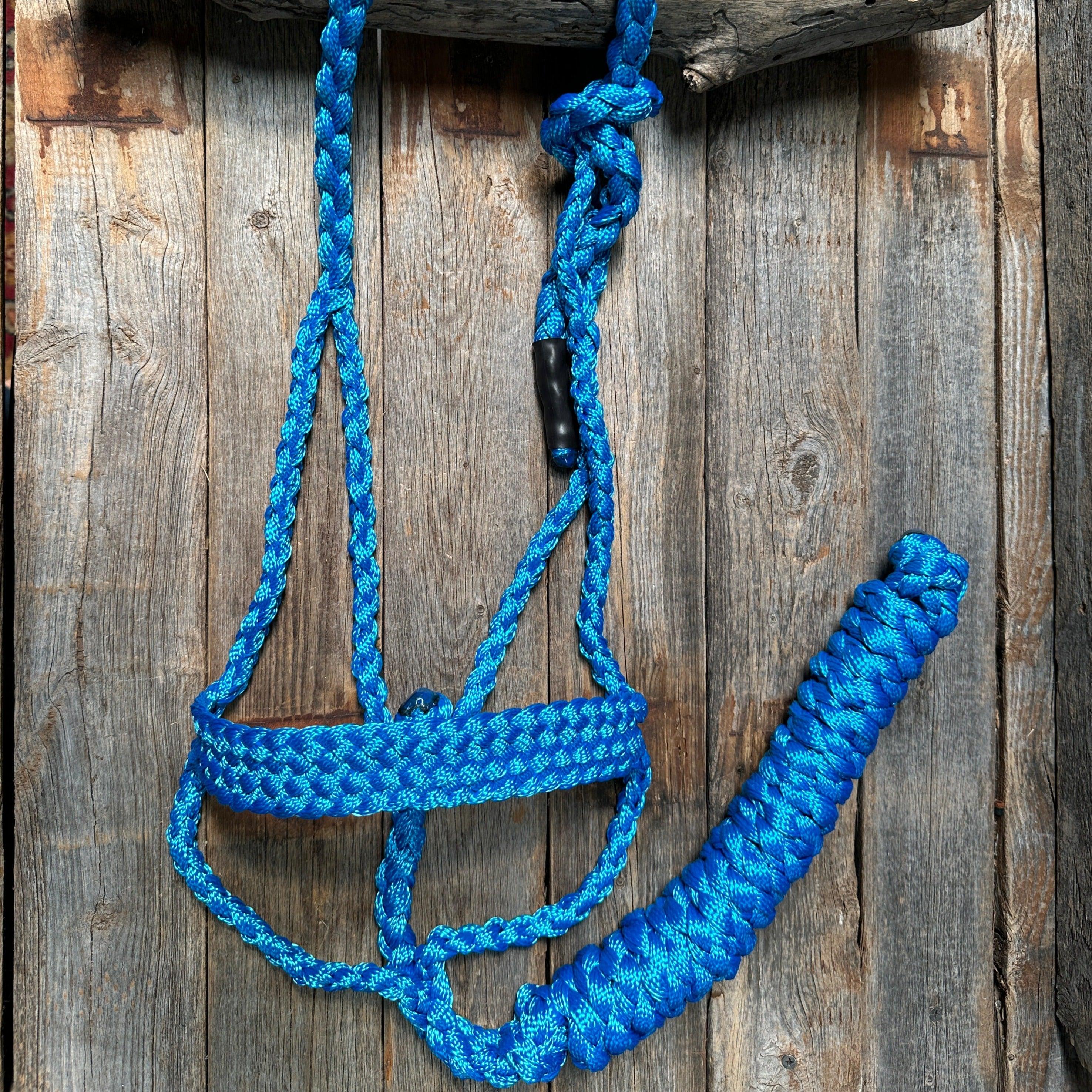 Blue Mule Tape Halter - RODEO DRIVE