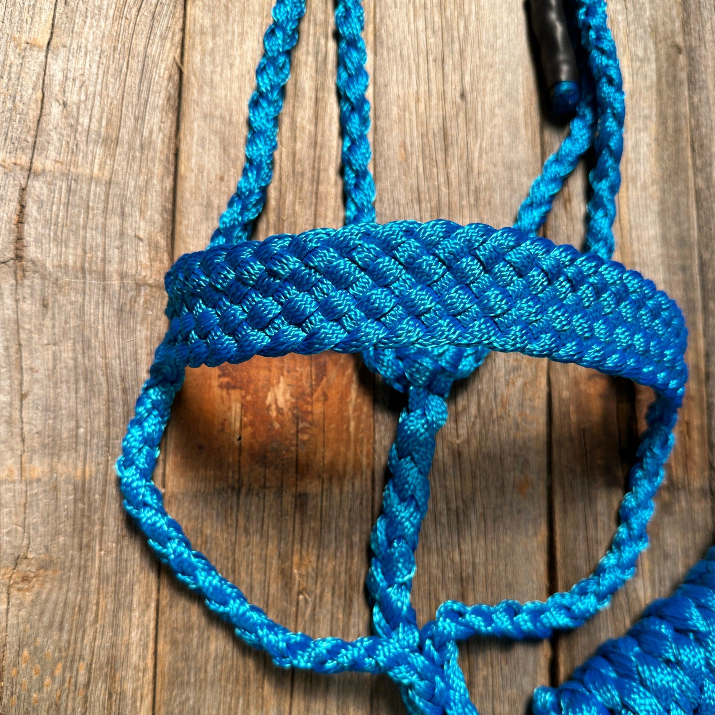 Blue Mule Tape Halter - RODEO DRIVE