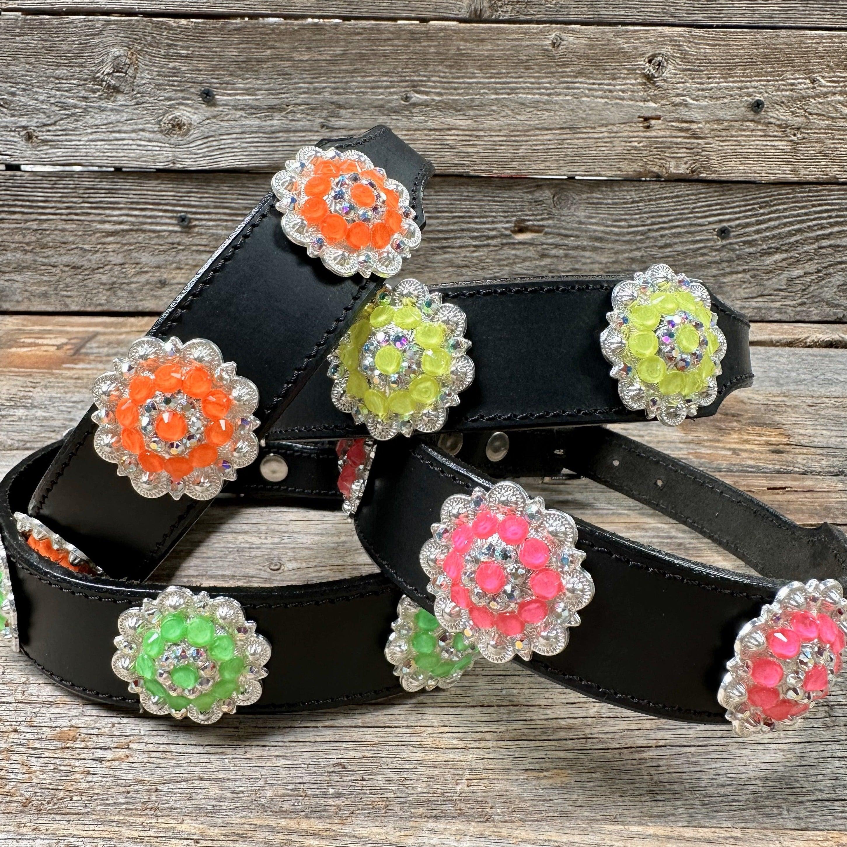 DC18- Neon Concho Dog Collar - RODEO DRIVE
