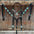 Black Leather V Brow Turquoise Browband Tack Set #BBBC526