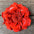 Hand Painted Leather Flowers - Gardenias