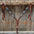 Medium Oil Basketweave Oblong Turquoise Browband | One Ear Tack Set #BBBC504