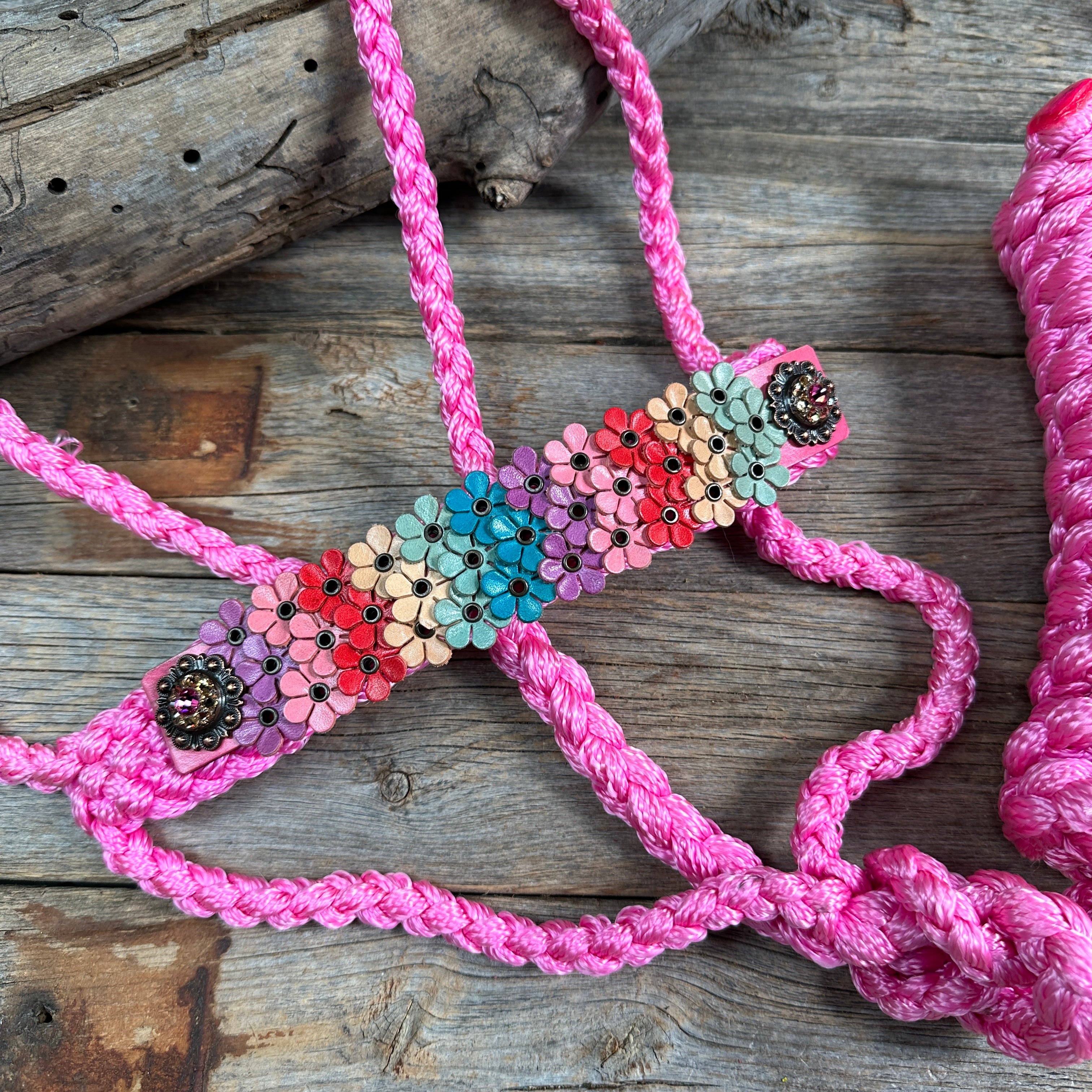 Pink Mule Tape Halter - Multi Floral and Pink #MT228