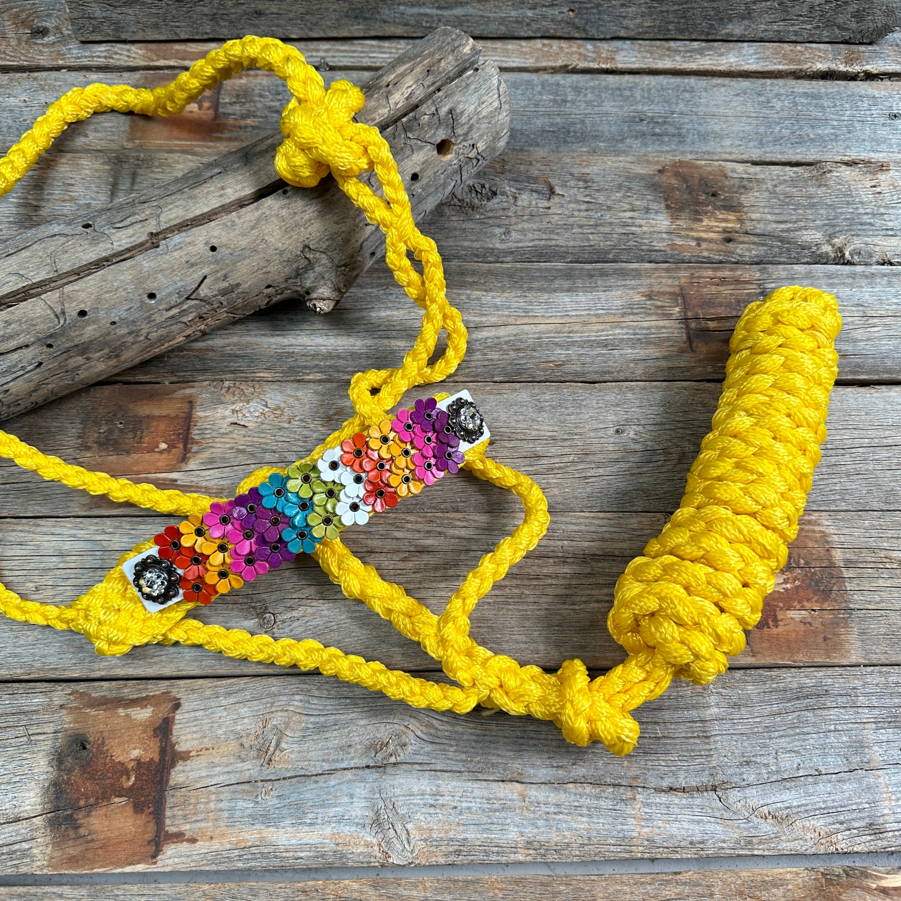 Yellow Mule Tape Halter - Multi Floral and Clear #MT229