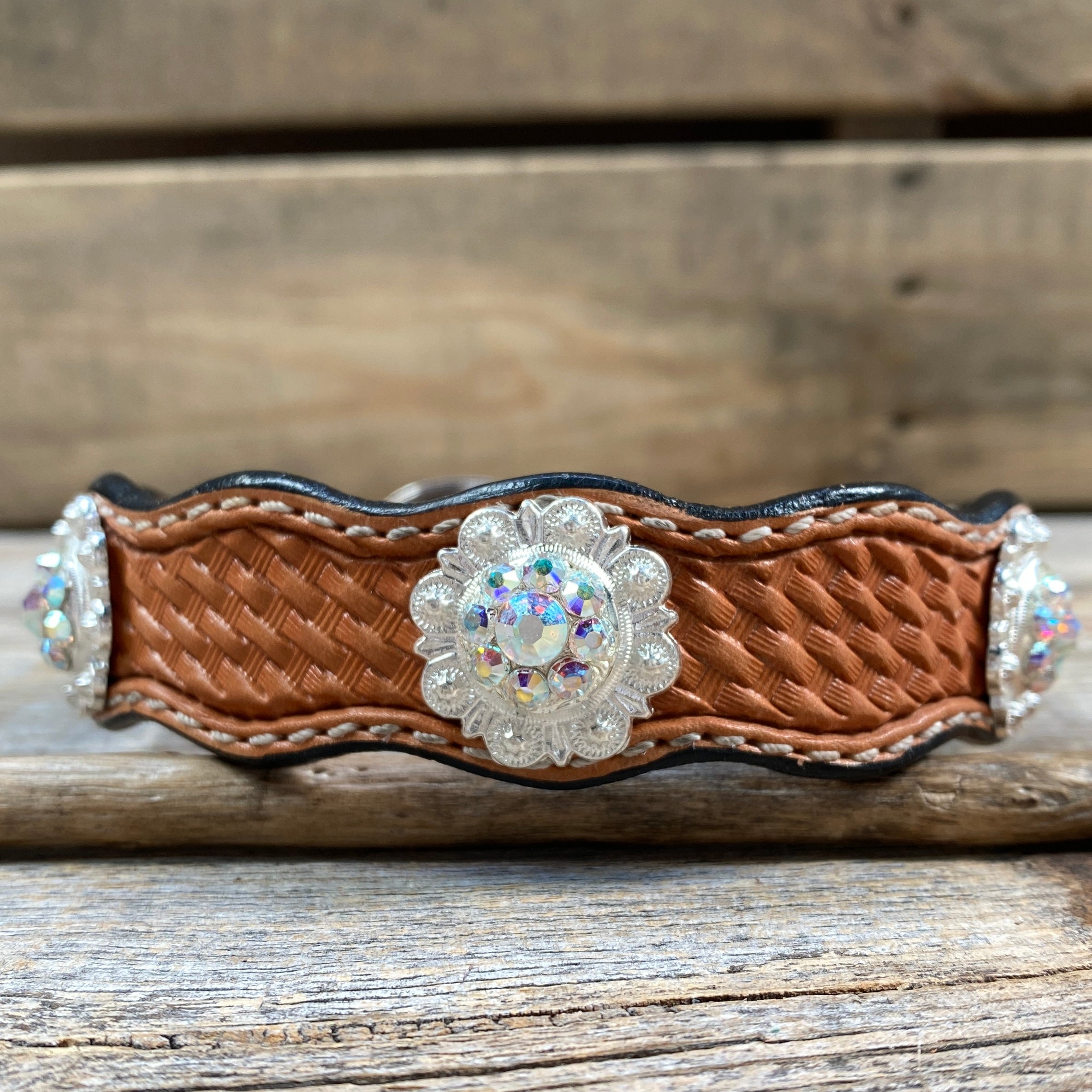 Leather Dog Collar With Bright Silver AB Conchos 10