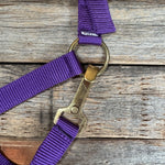 Purple Nylon Halter with Floral Leather Noseband #NH118