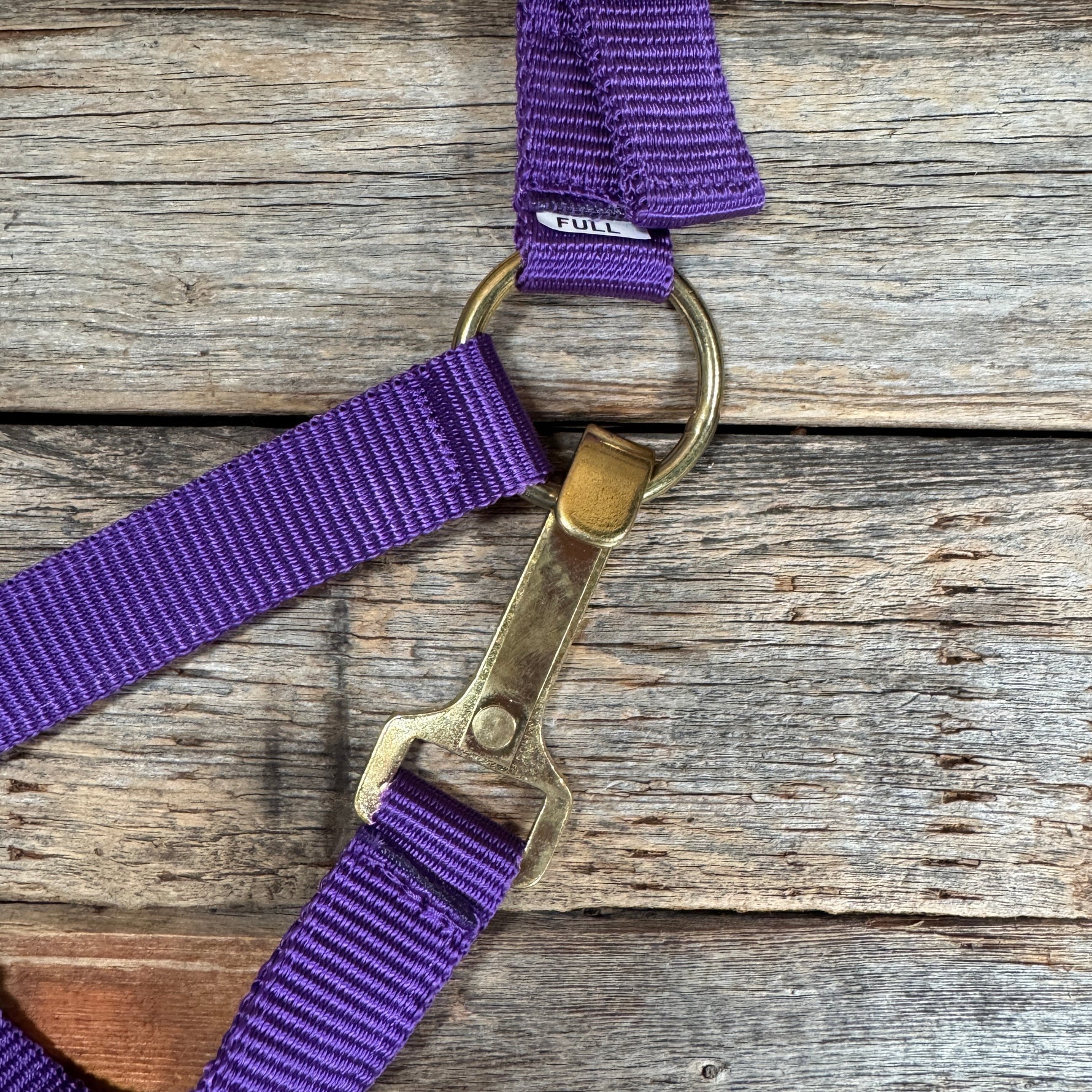Purple Nylon Halter with Floral Leather Noseband #NH118