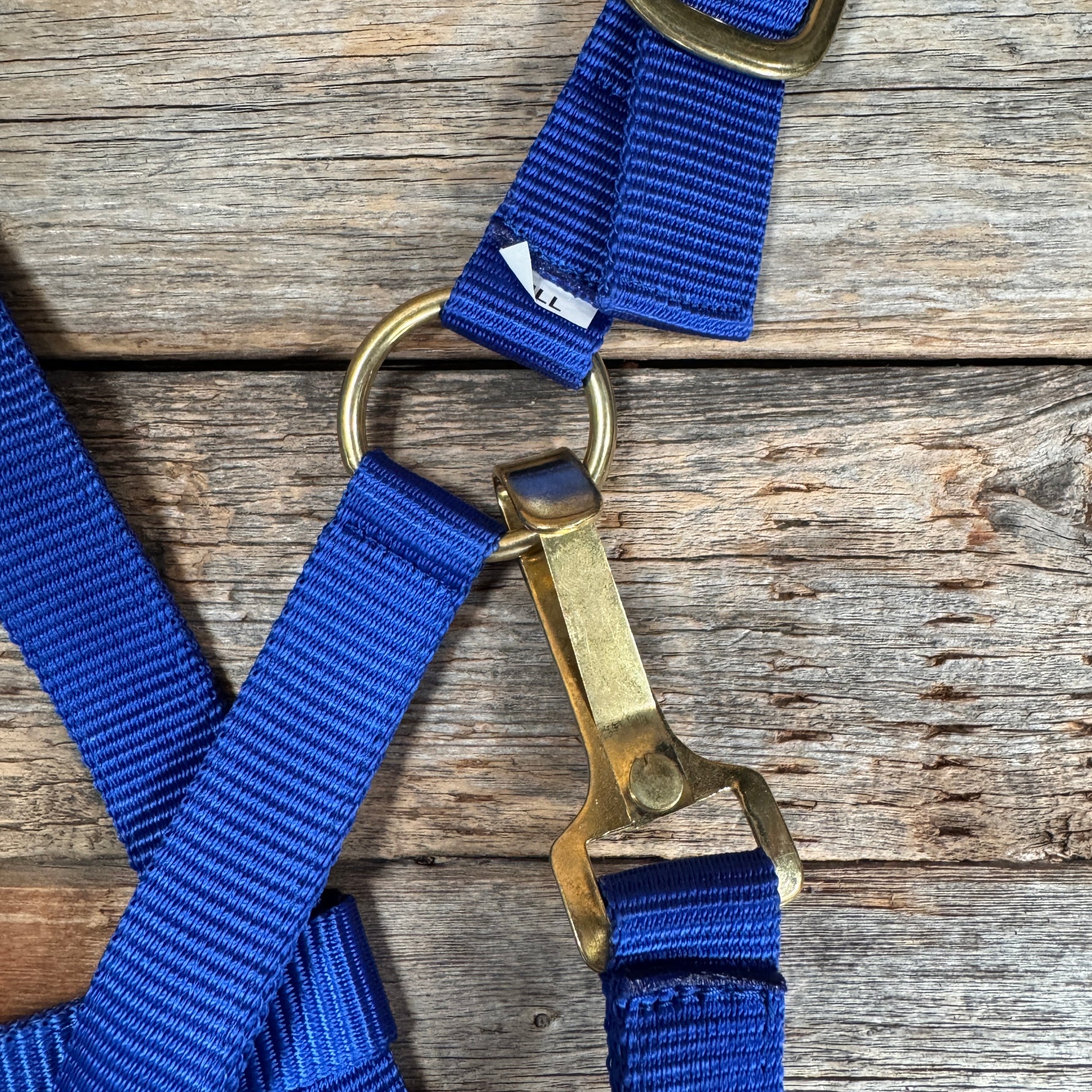 Blue Nylon Halter with Cowhide Leather Noseband #NH119