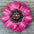 Pink Carnations Leather Flowers - 1" Crystal Conchos - Options