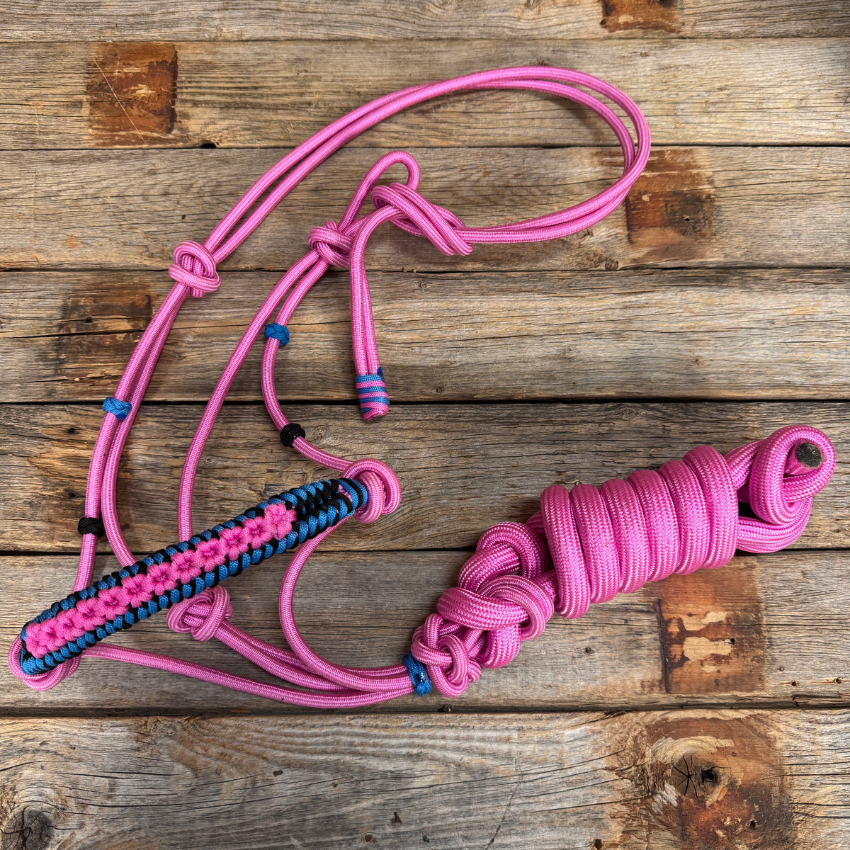Pink Nylon Rope Halter with Black and Blue