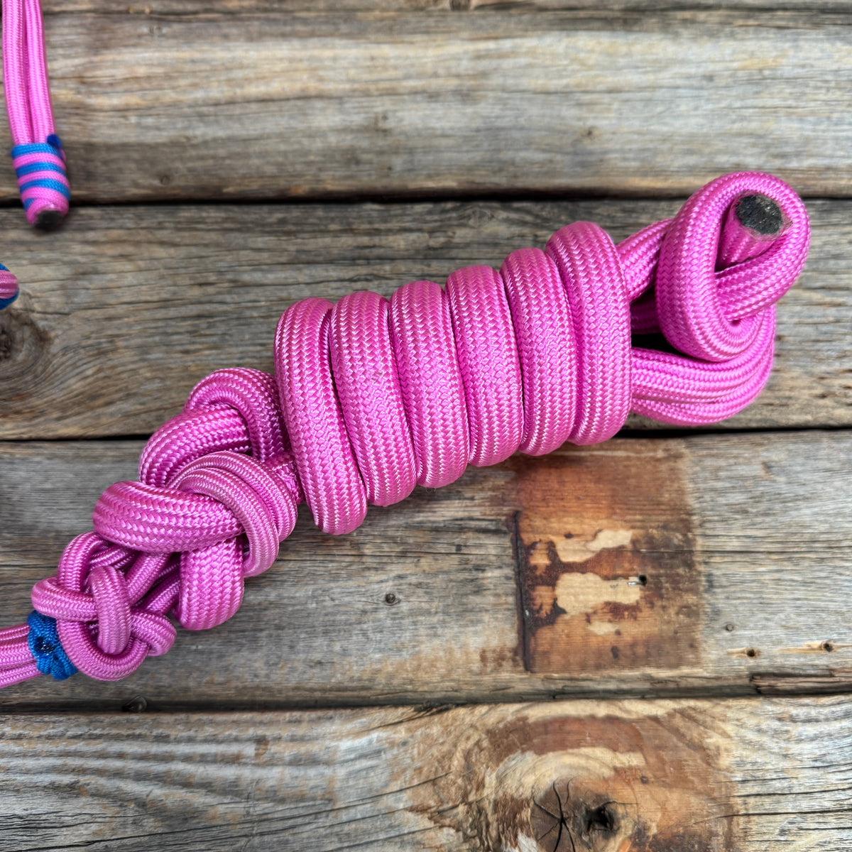 Pink Nylon Rope Halter with Black and Blue