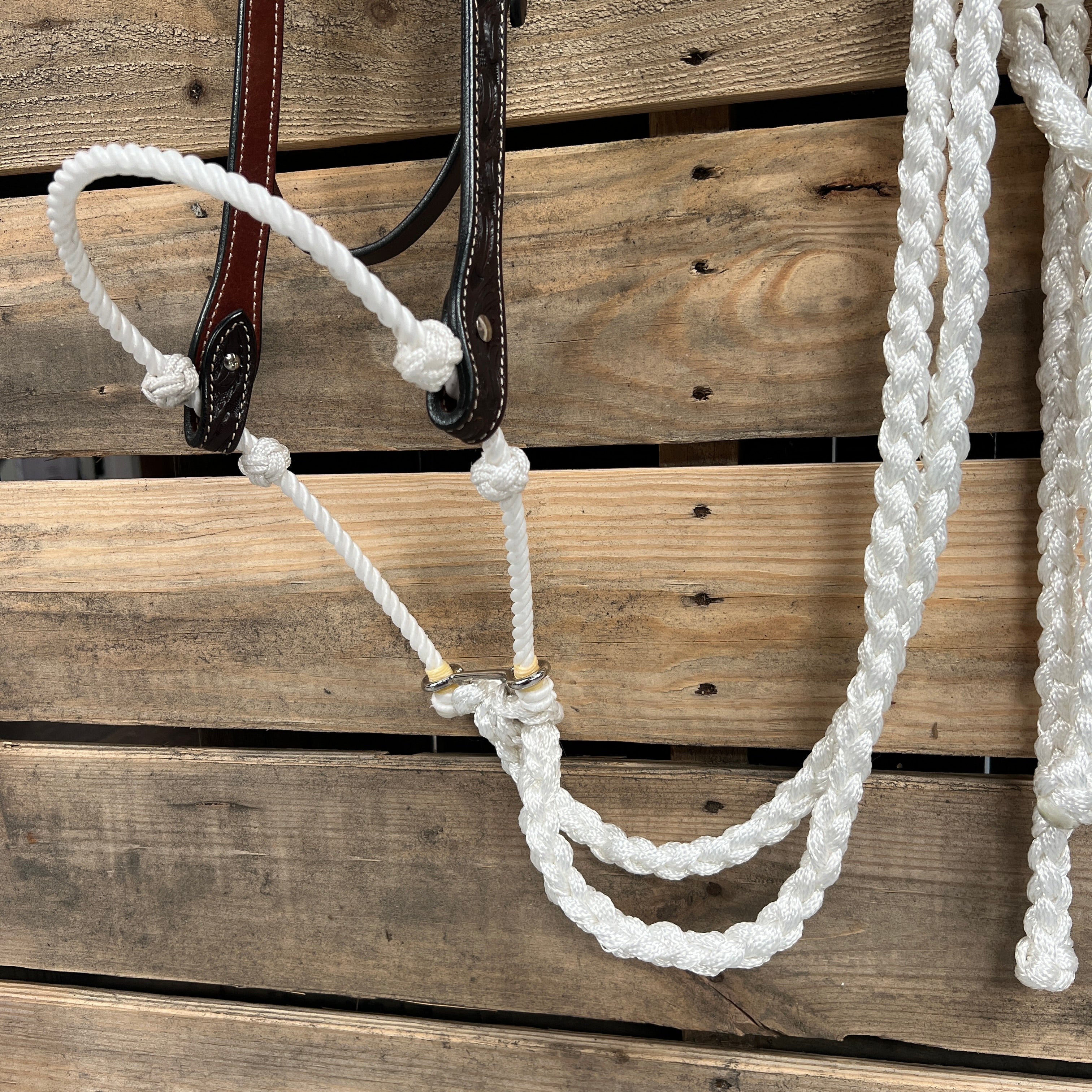 Dark Oil Floral V-Brow White Loping Hackamore #LHK029