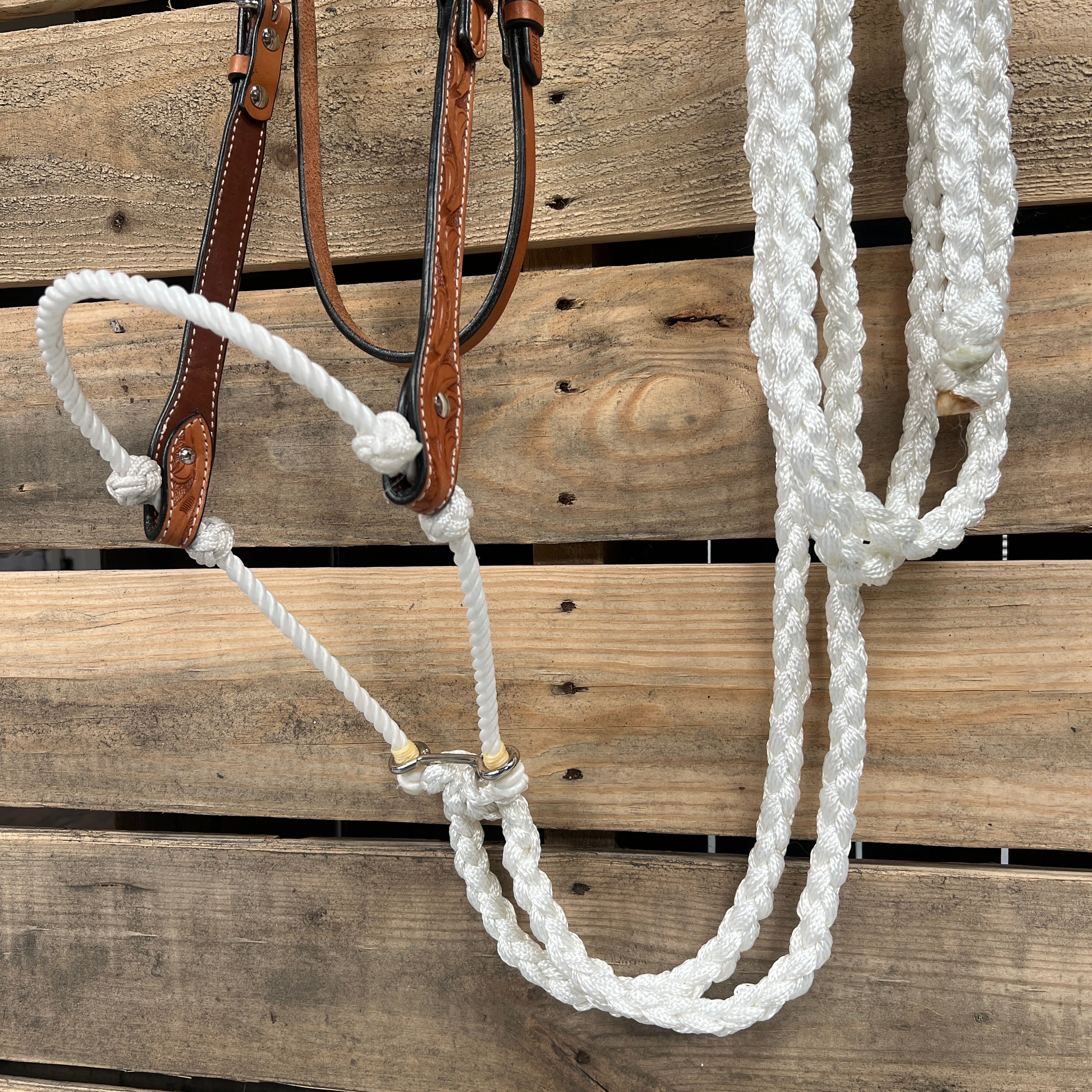 Light Oil Floral V-Brow White Loping Hackamore #LHK035