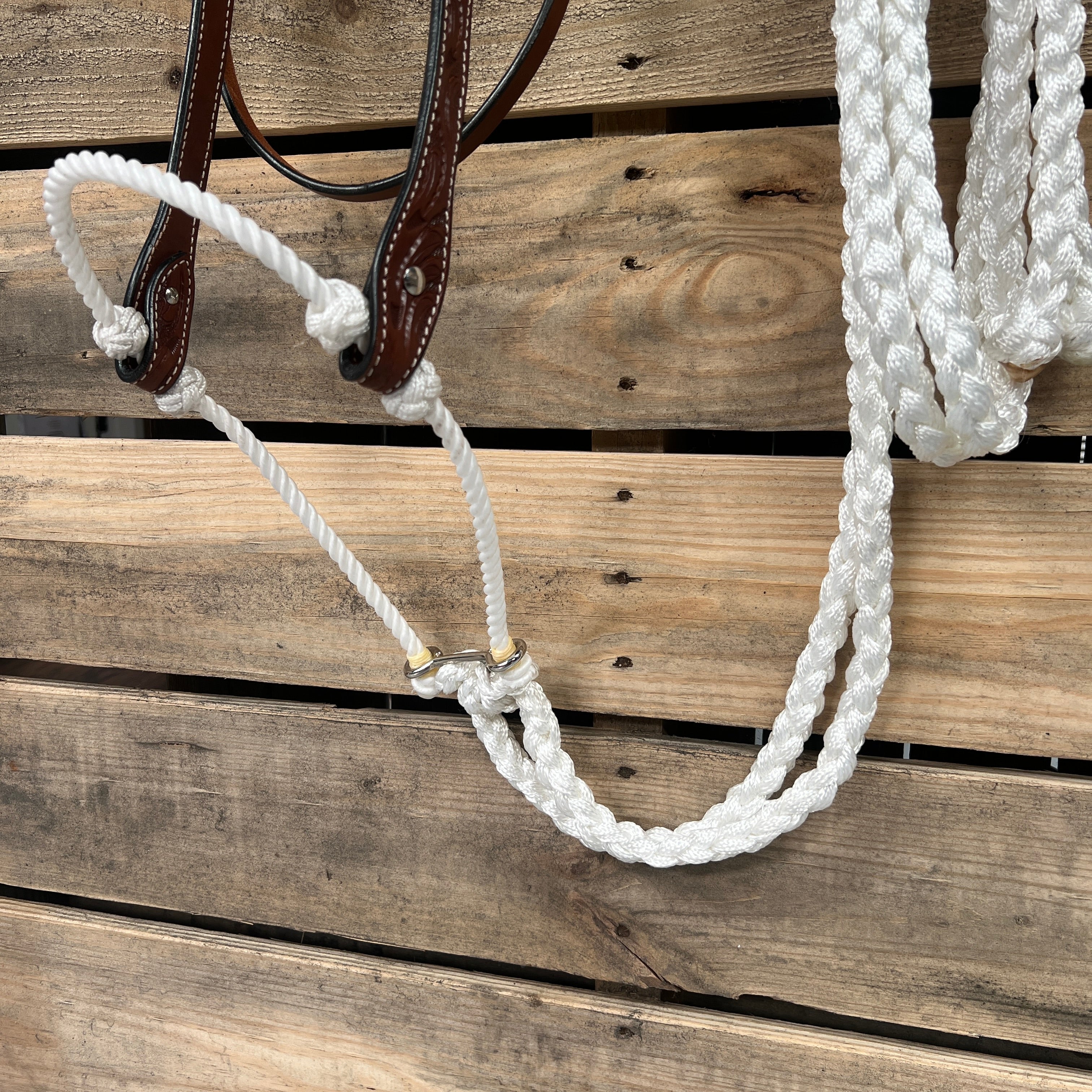 Medium Oil Floral V-Brow White Loping Hackamore #LHK032