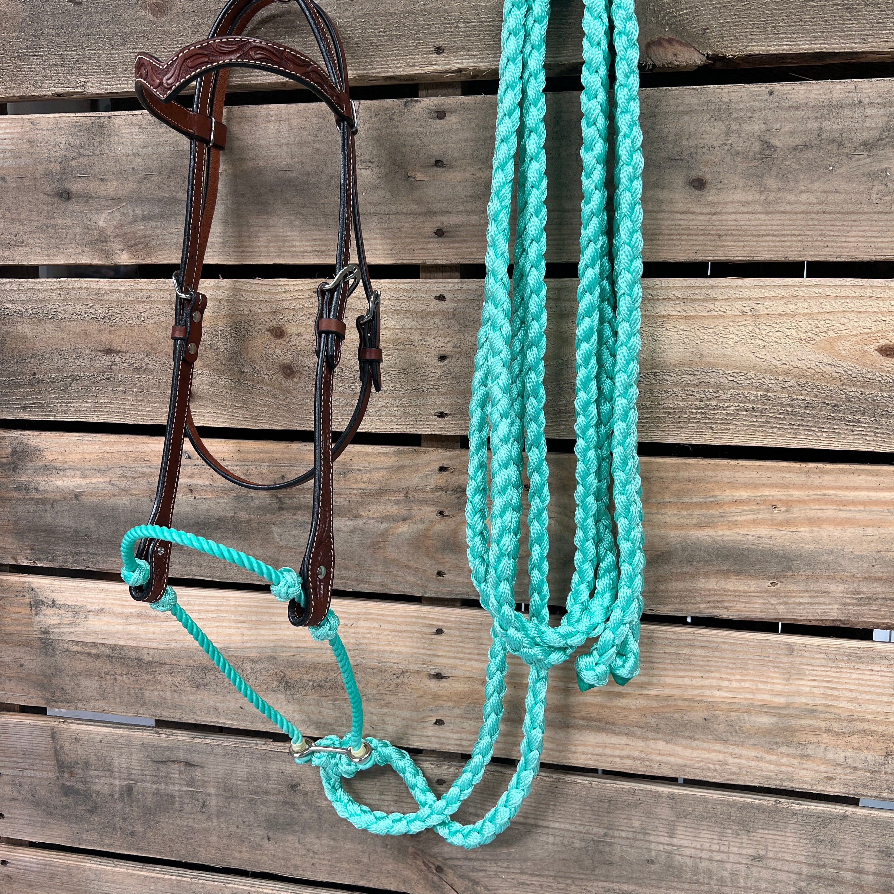 Medium Oil Floral V-Brow Seafoam Loping Hackamore #LHK034