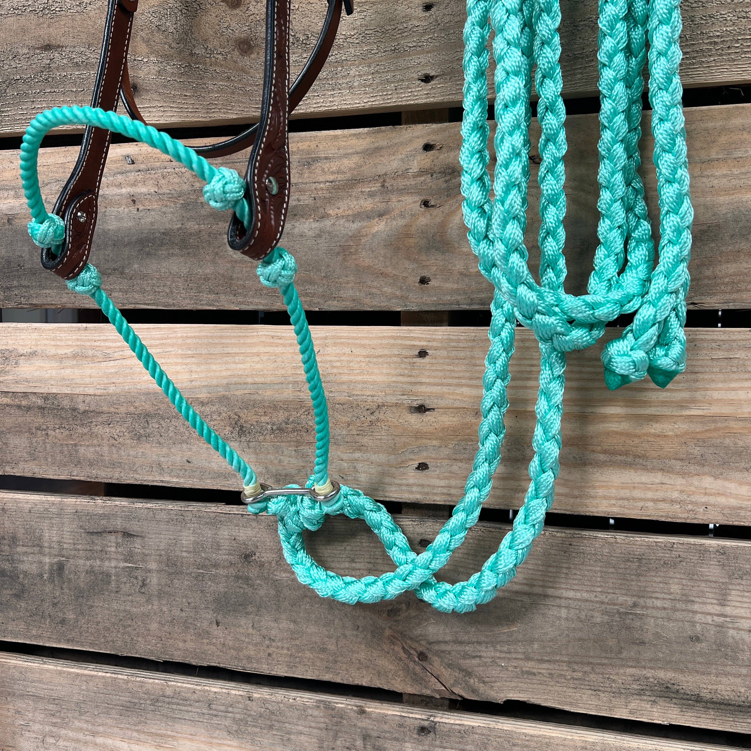 Medium Oil Floral V-Brow Seafoam Loping Hackamore #LHK034